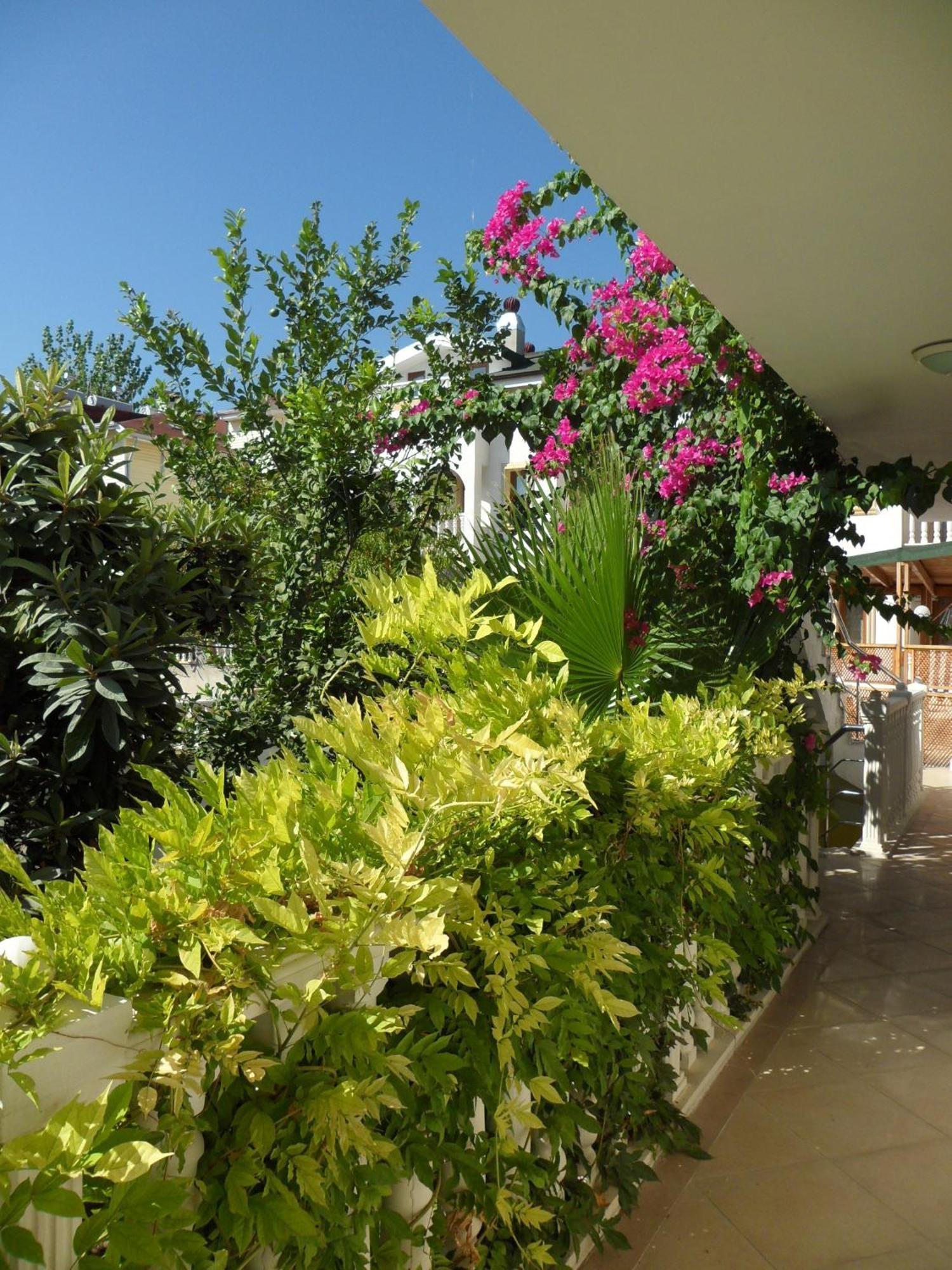Hotel Dinara Kemer