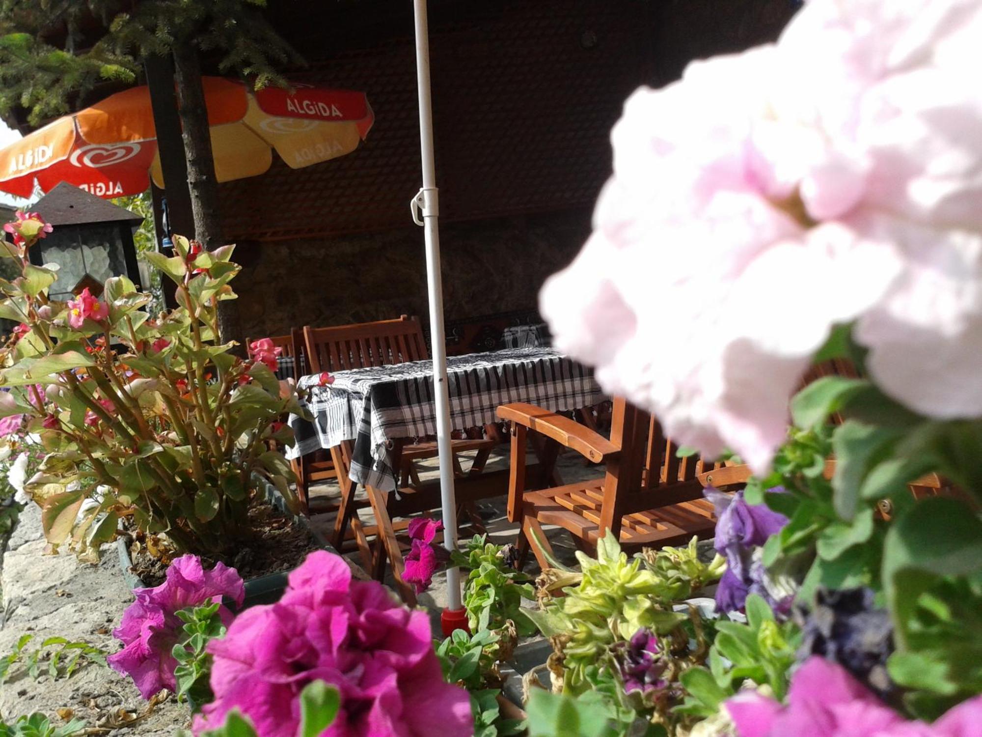 Hotel Arifbey