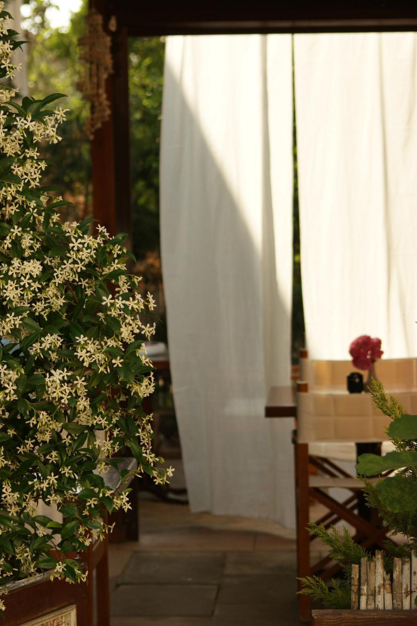 Guest house Cunda Lena