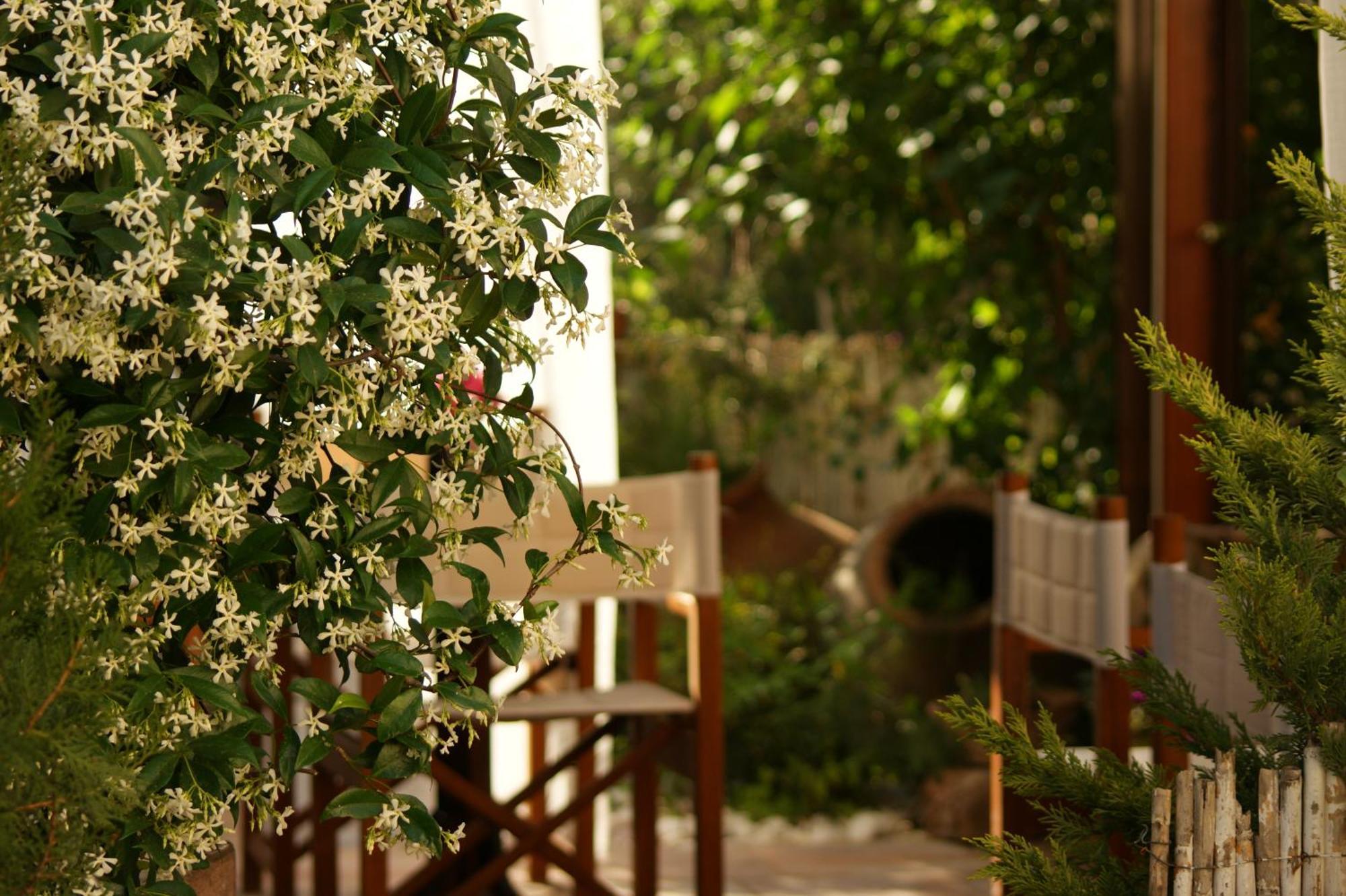 Guest house Cunda Lena 2*