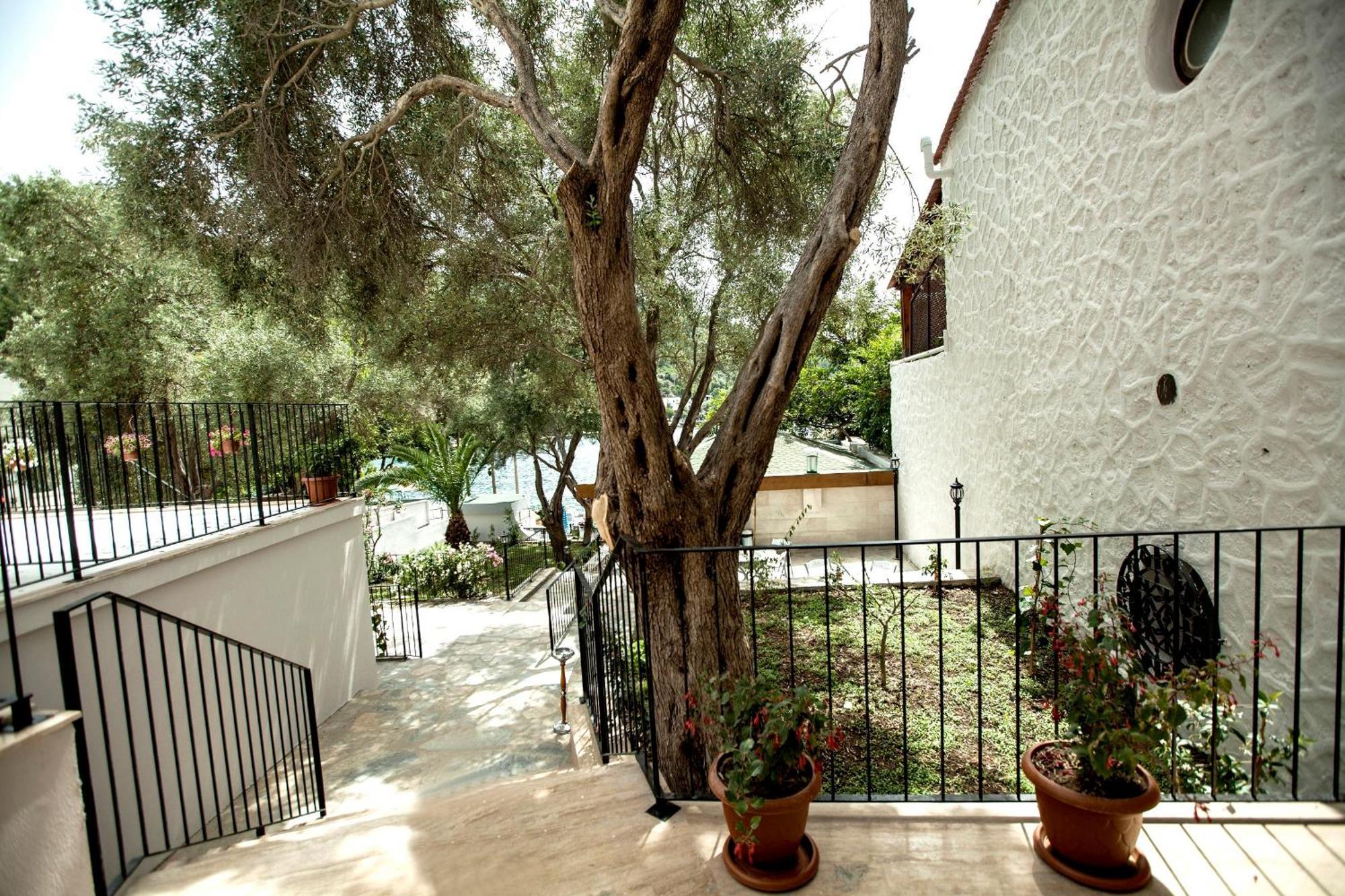 Zena Bodrum Guvercinlik (Bodrum)