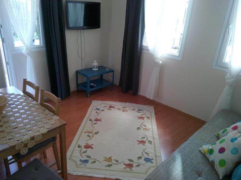 Apartment Konakli
