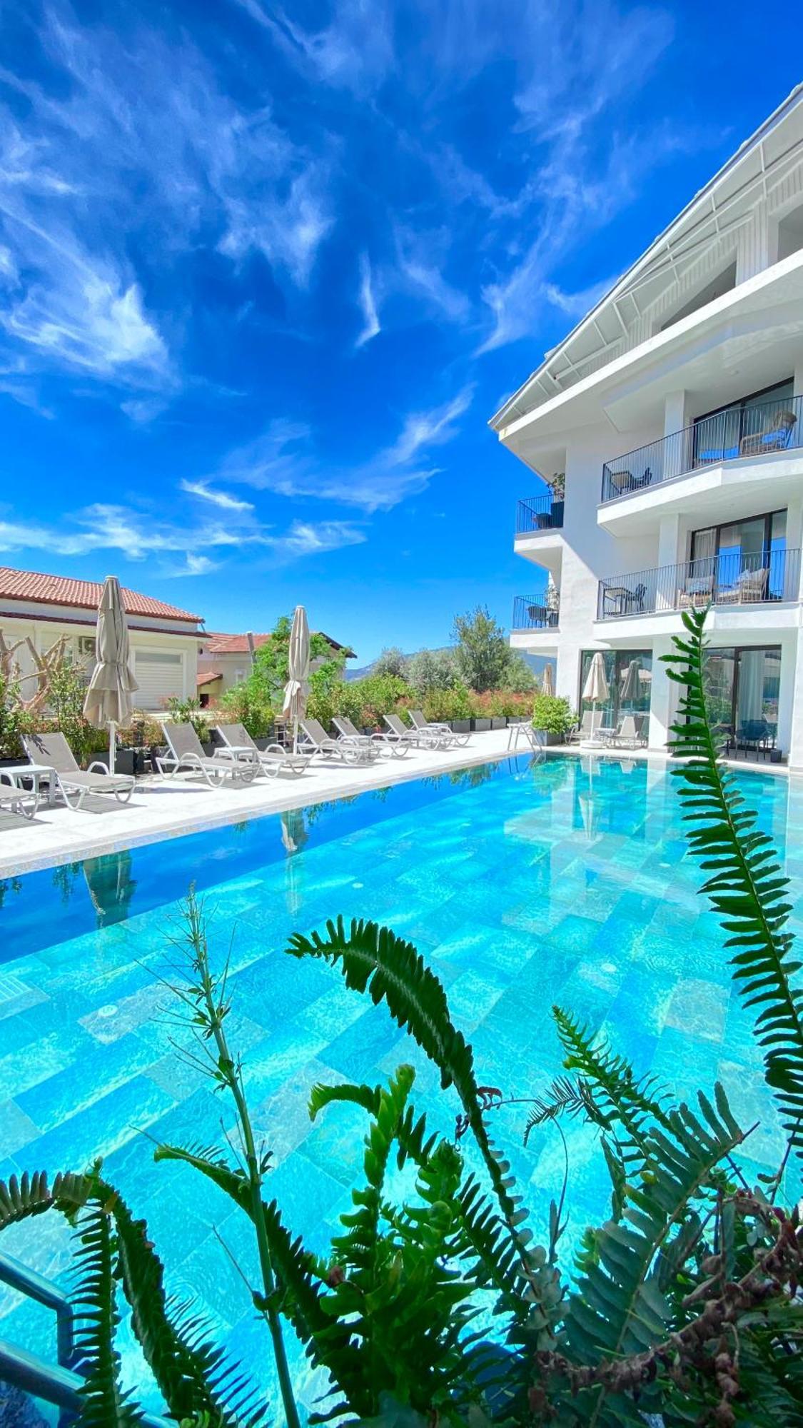 Hotel Payava By True Blue