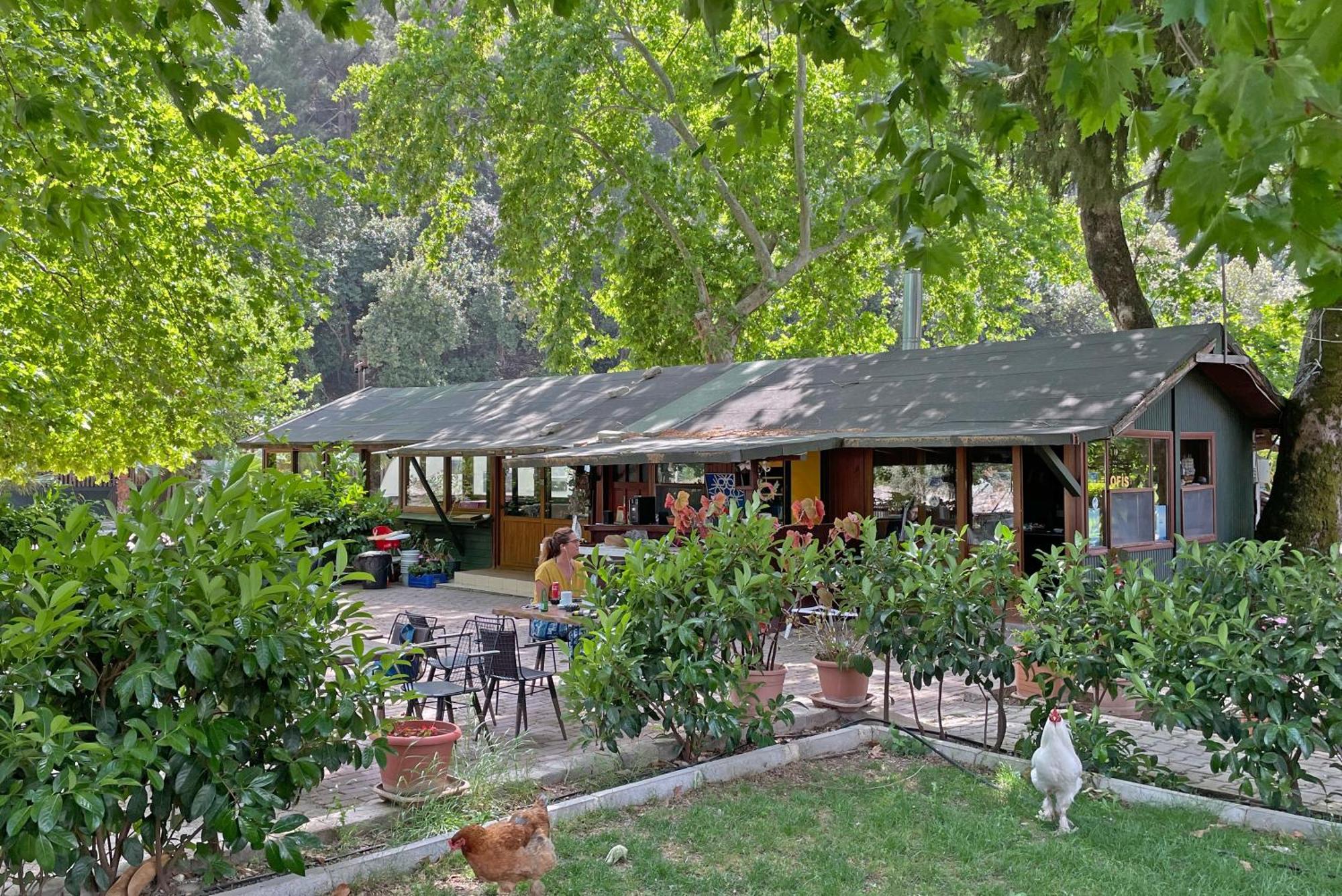 Homestay Garden Cirali *
