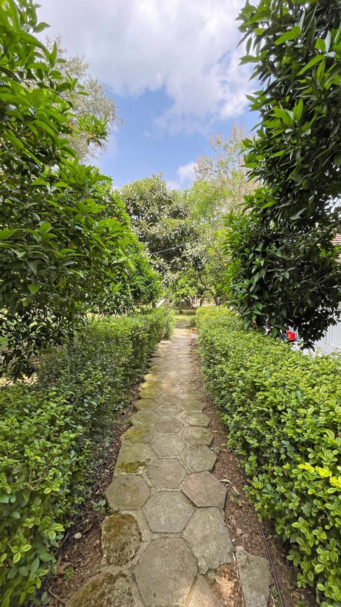 Homestay Garden Cirali *