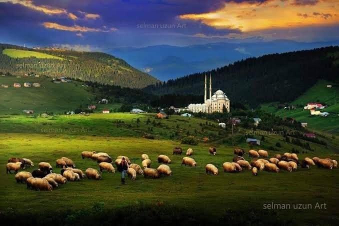 Seyir Yeri