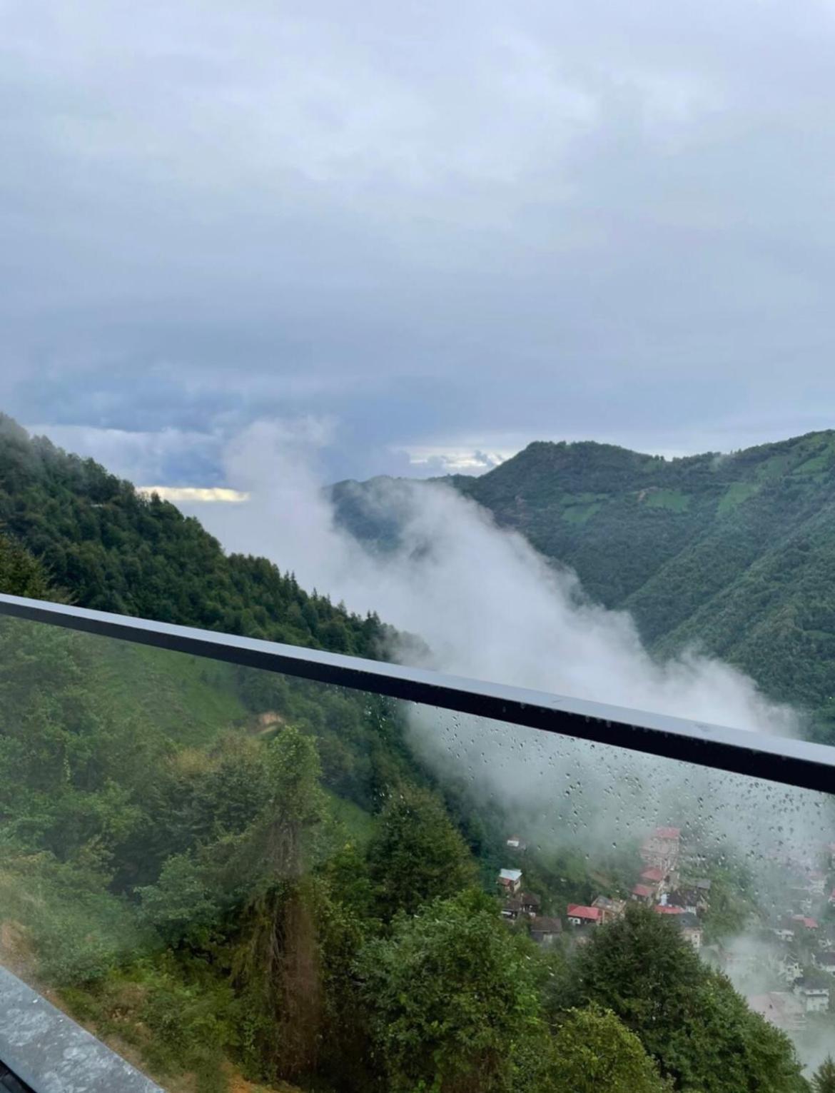 Hotel Forest