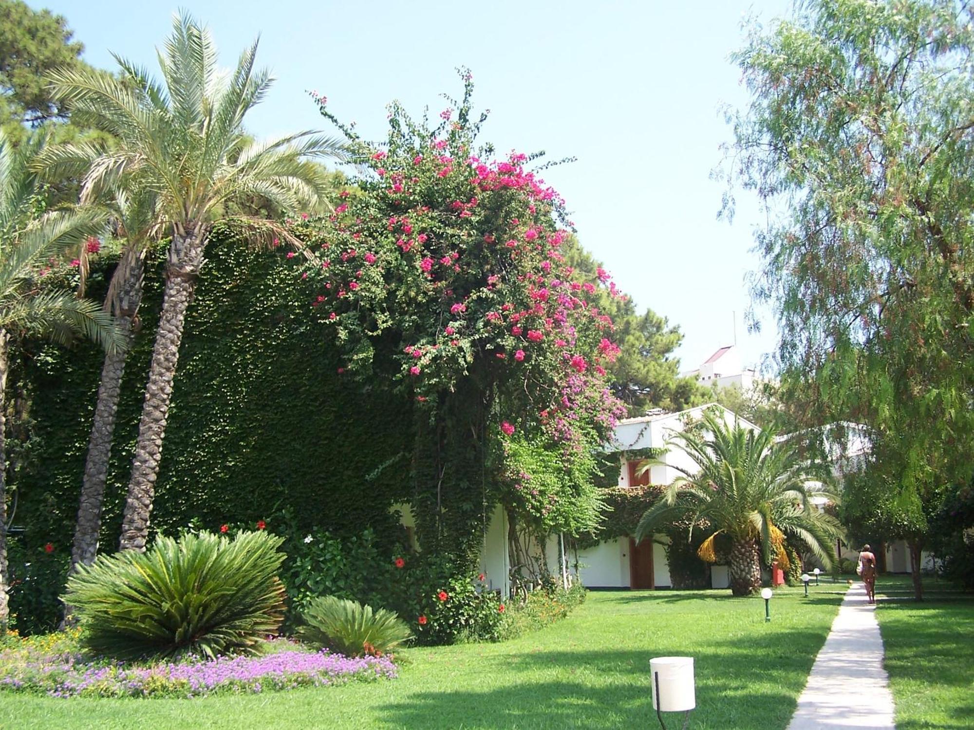 Club Boran Mare