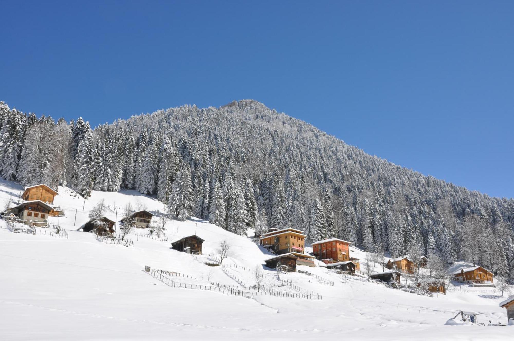 Hasimoglu Hotel 3*