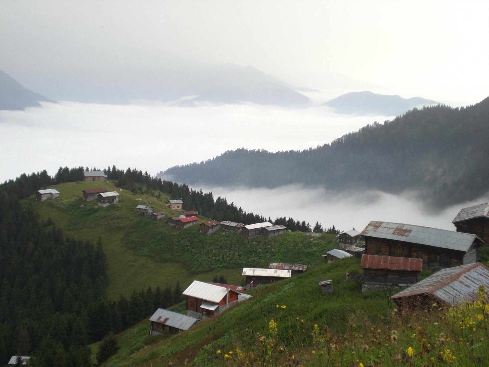 Hasimoglu Hotel