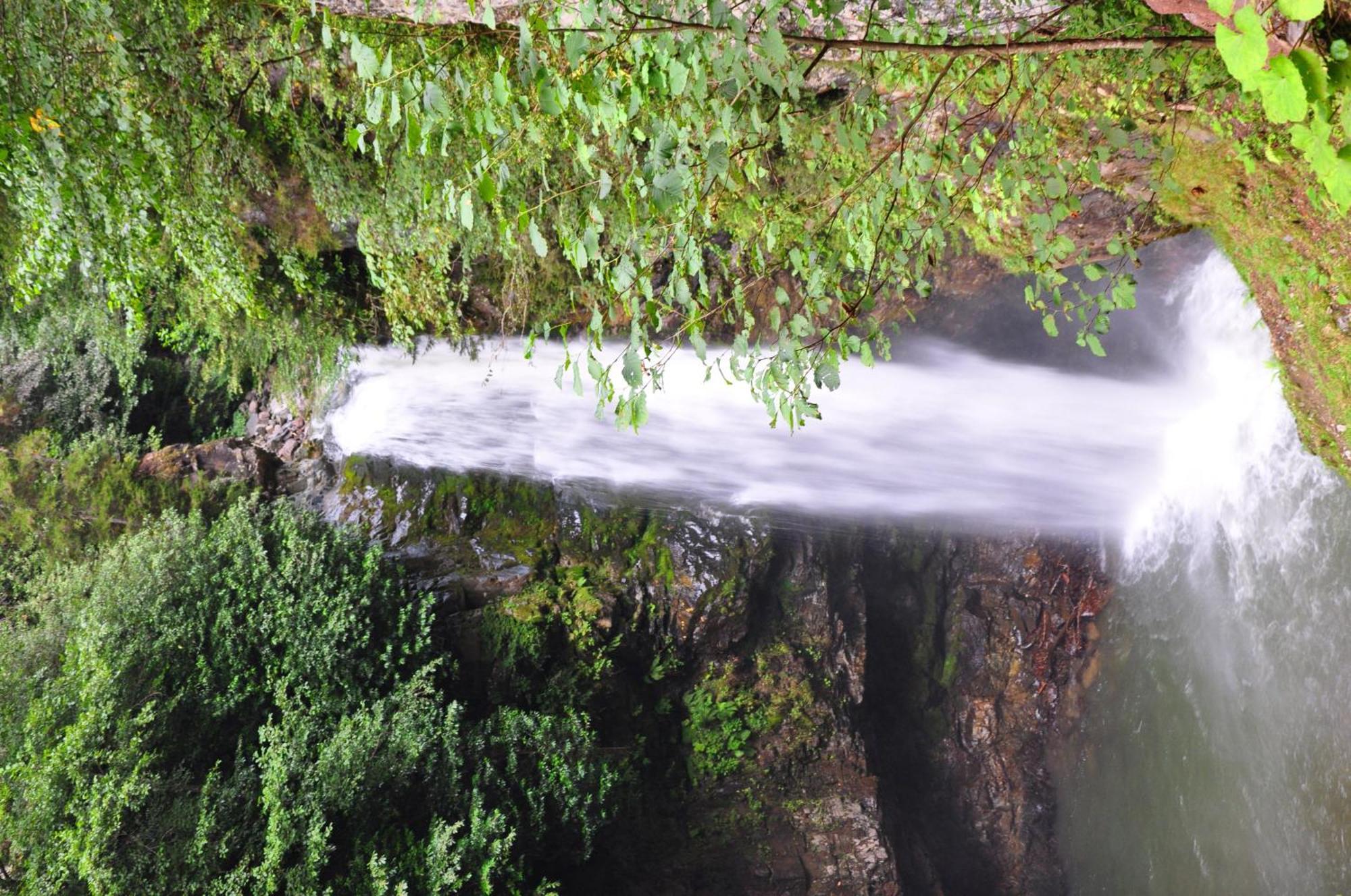 Hasimoglu