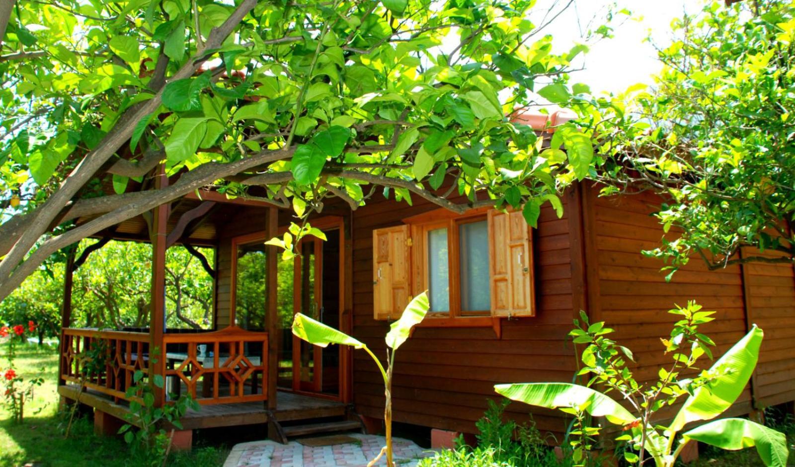 Baraka House 2*