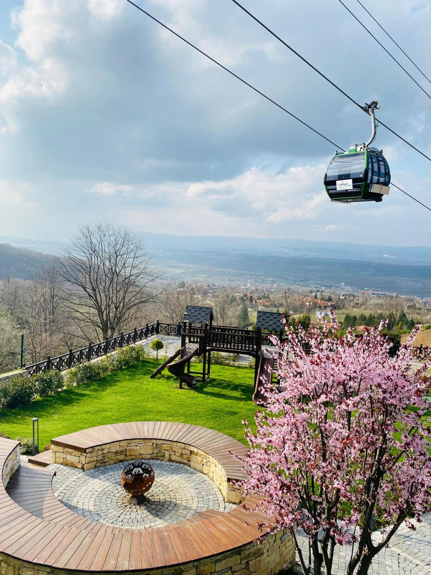 Panorama *