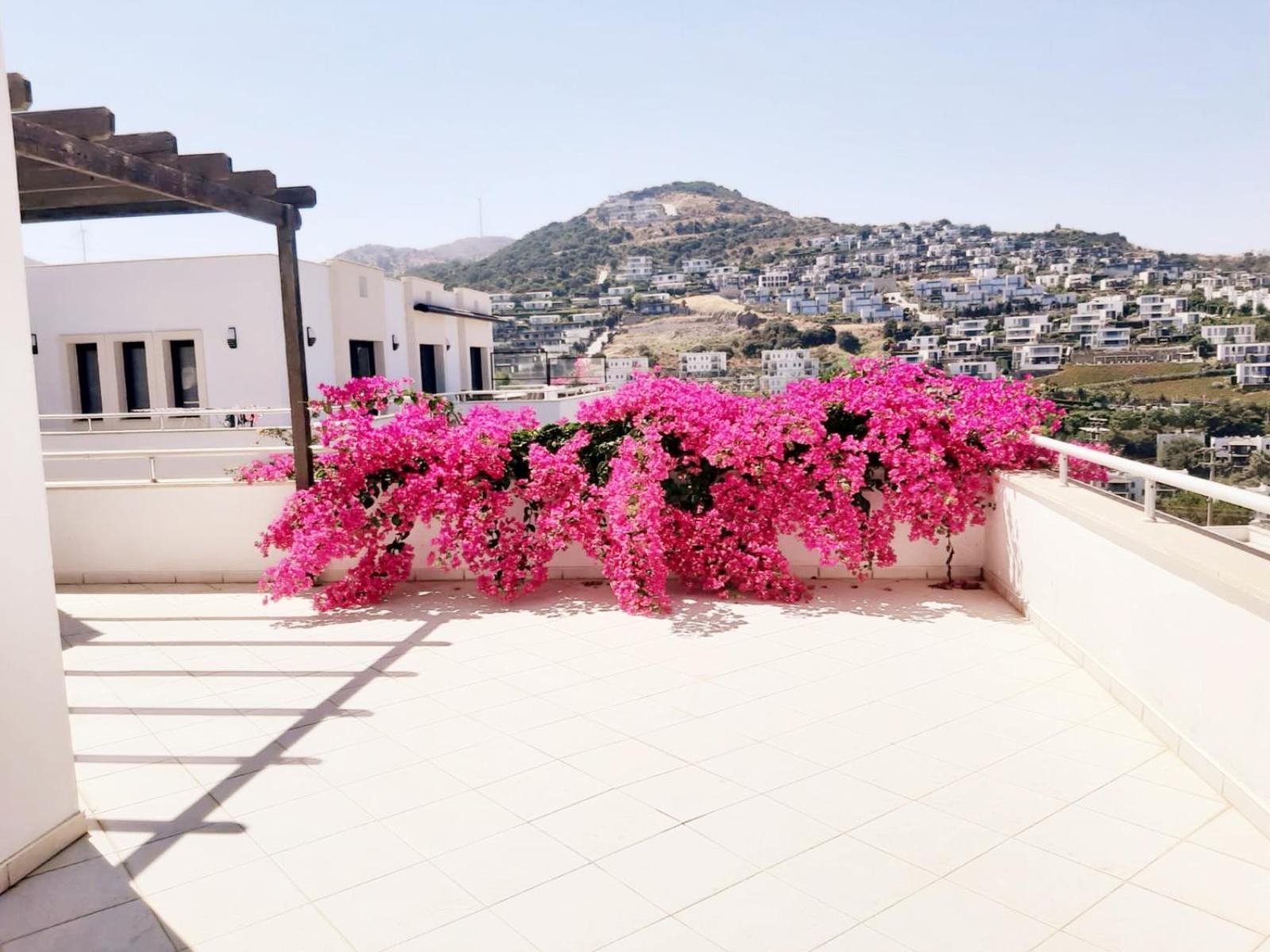 Seaview Luxury Apartment *