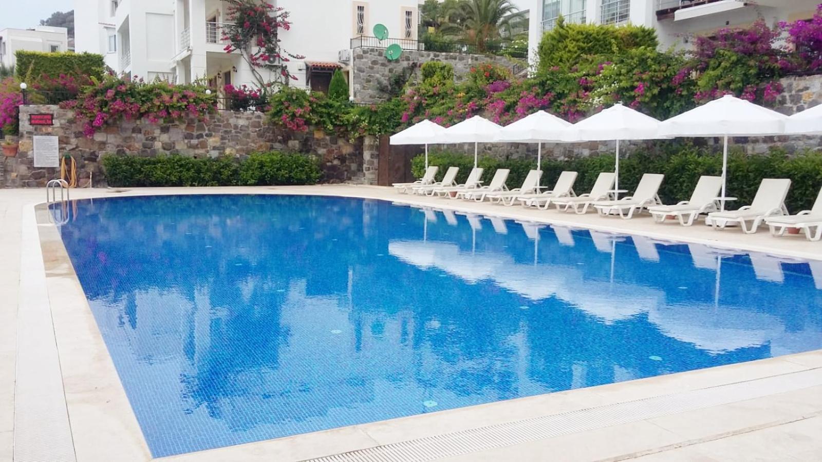 Seaview Luxury Apartment