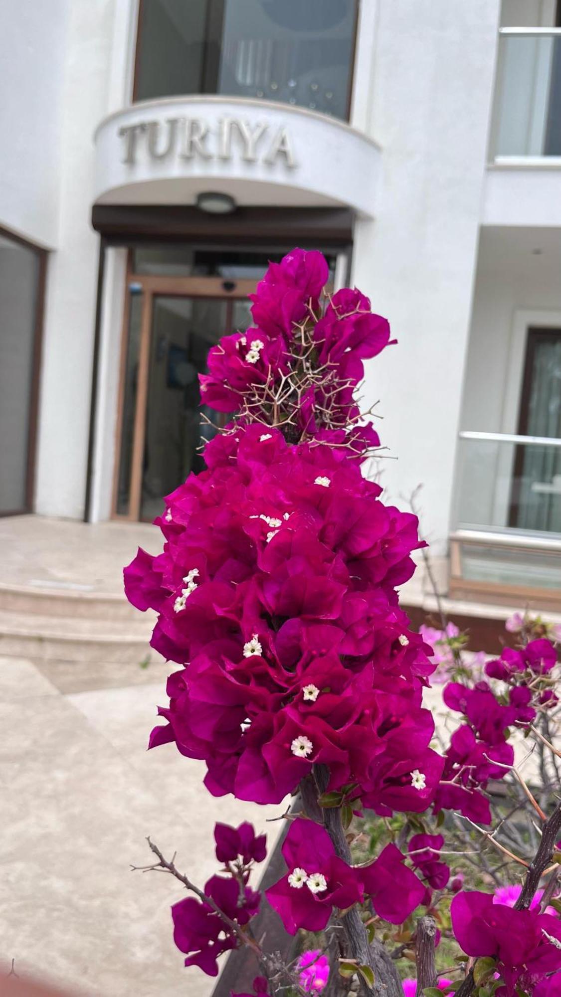 Turiya Hotel