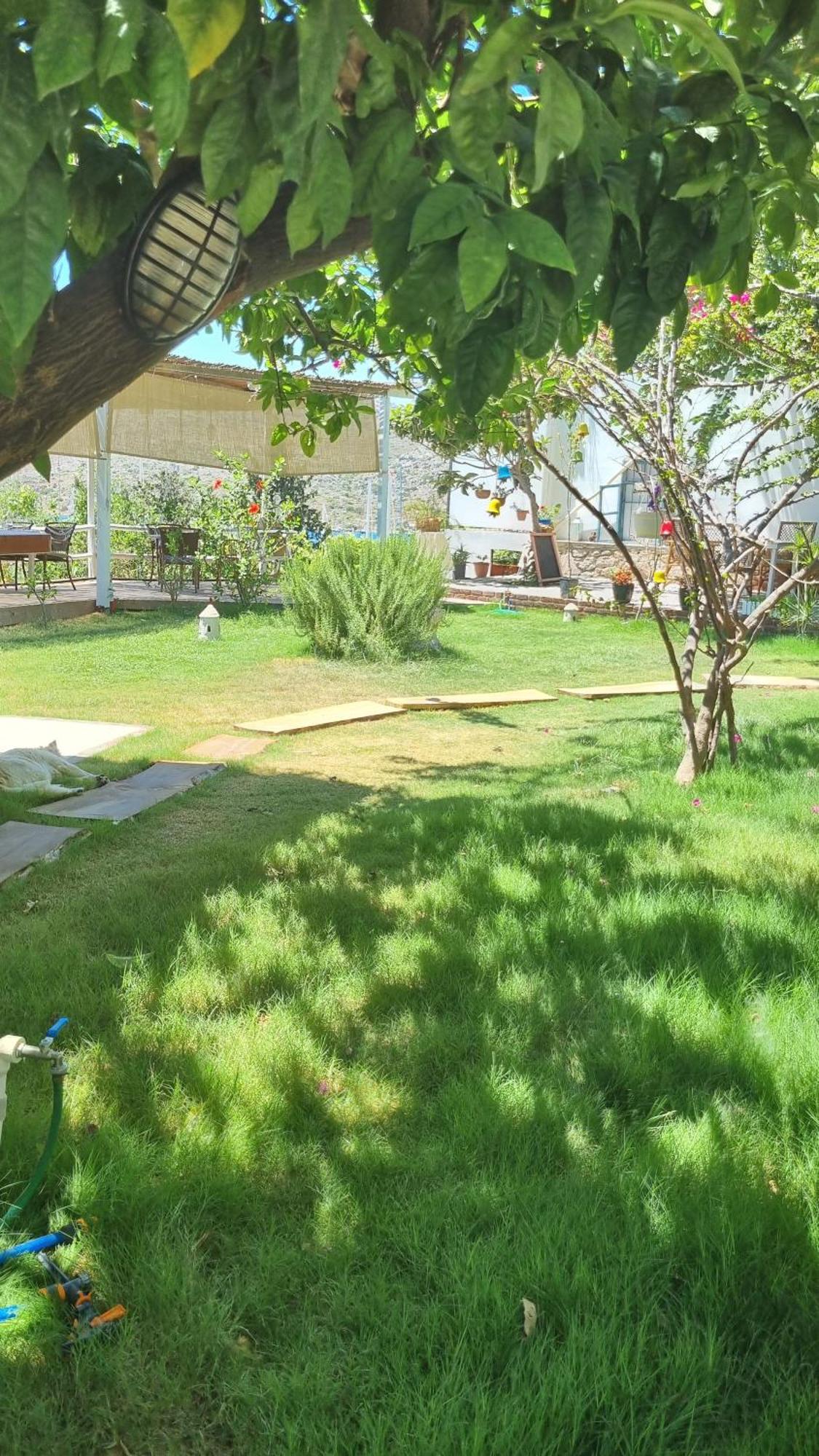 Hotel Lemon Garden Boutique