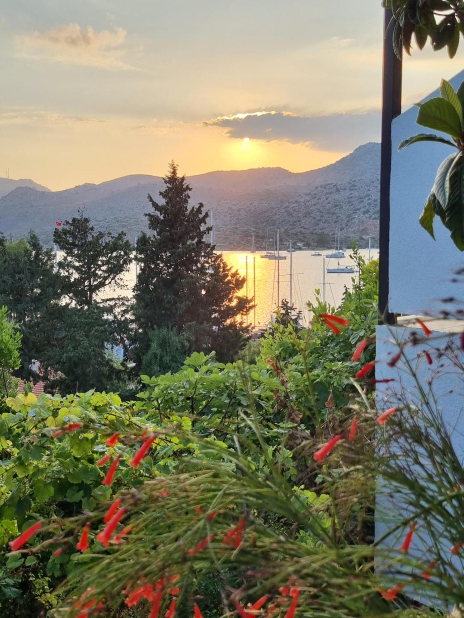 Hotel Lemon Garden Boutique