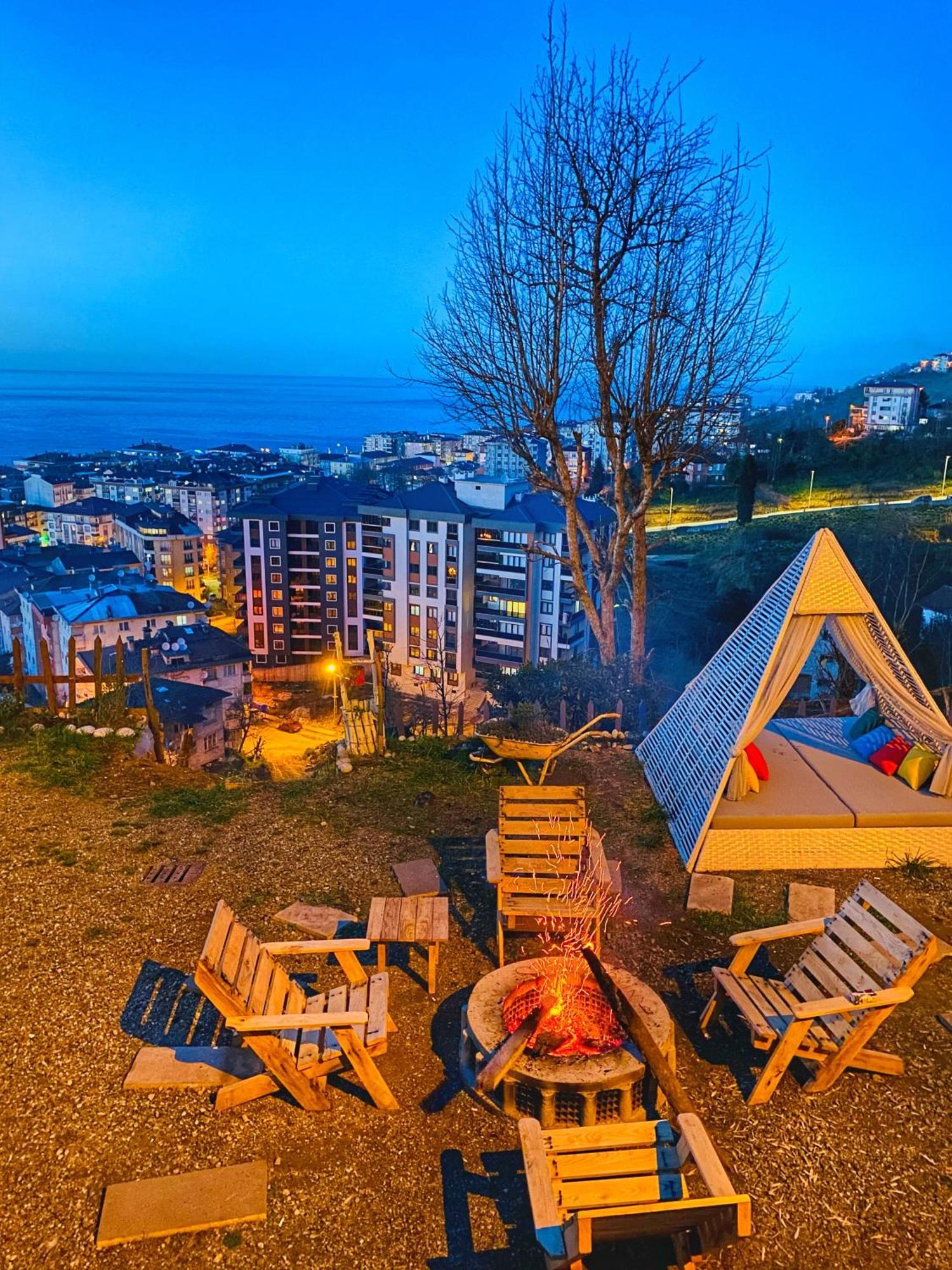 Lavinya * Rize