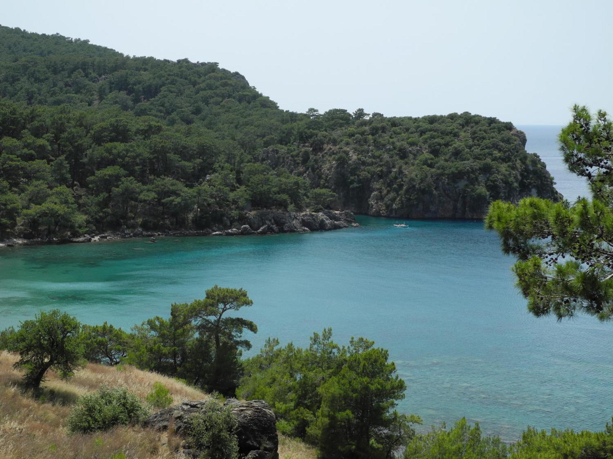 Daphne House 2* Olympos
