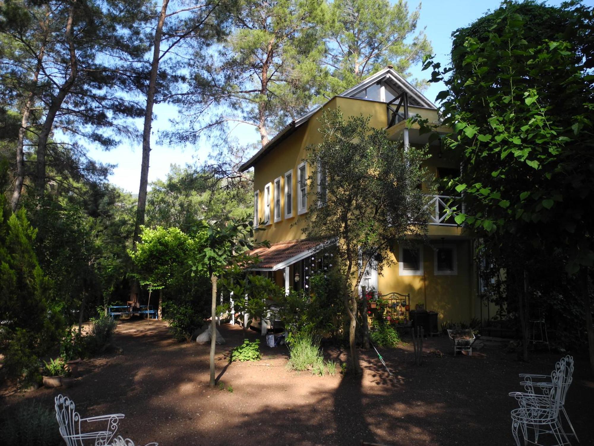 Daphne House Guest house