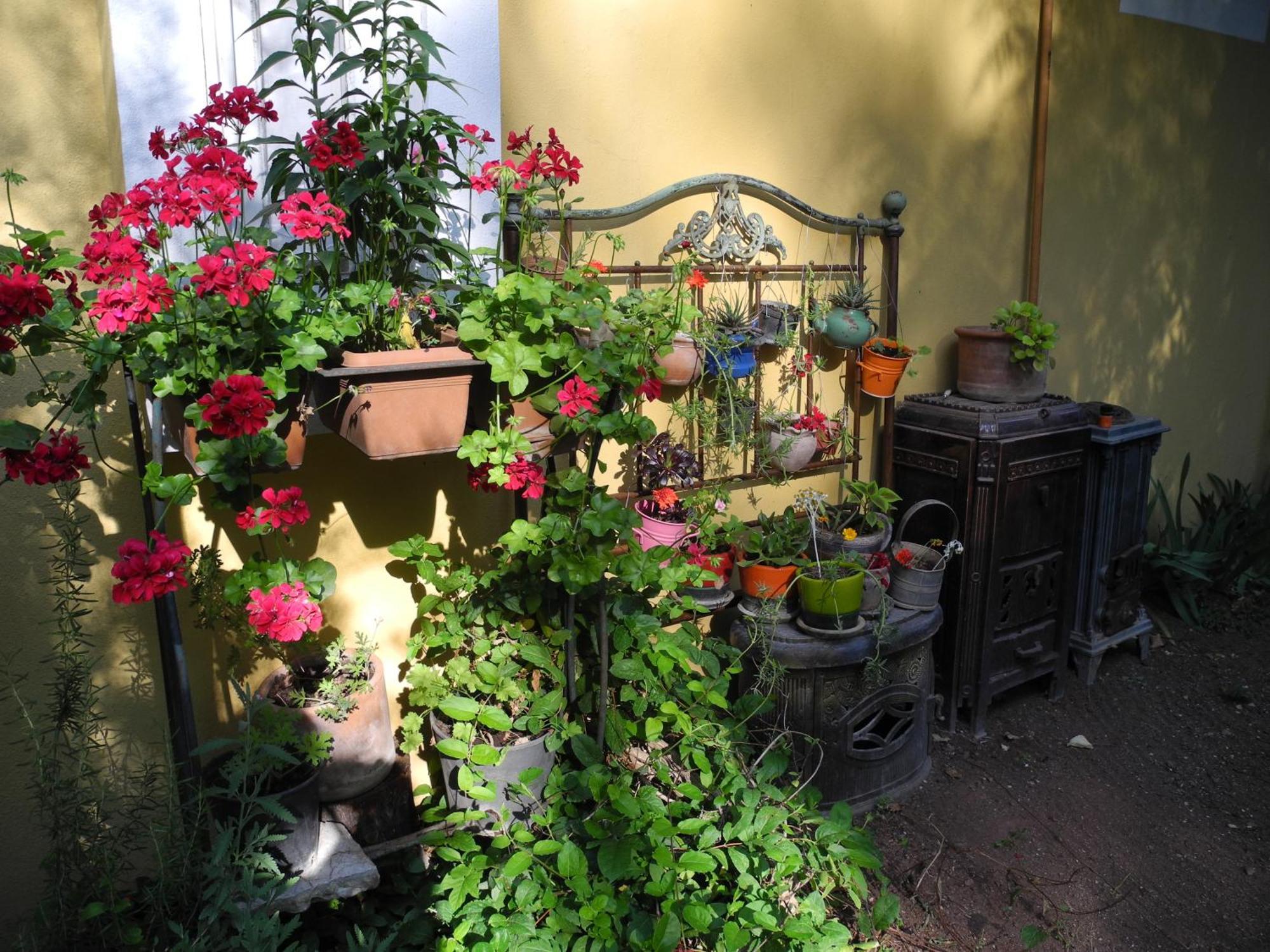 Daphne House Guest house 2*