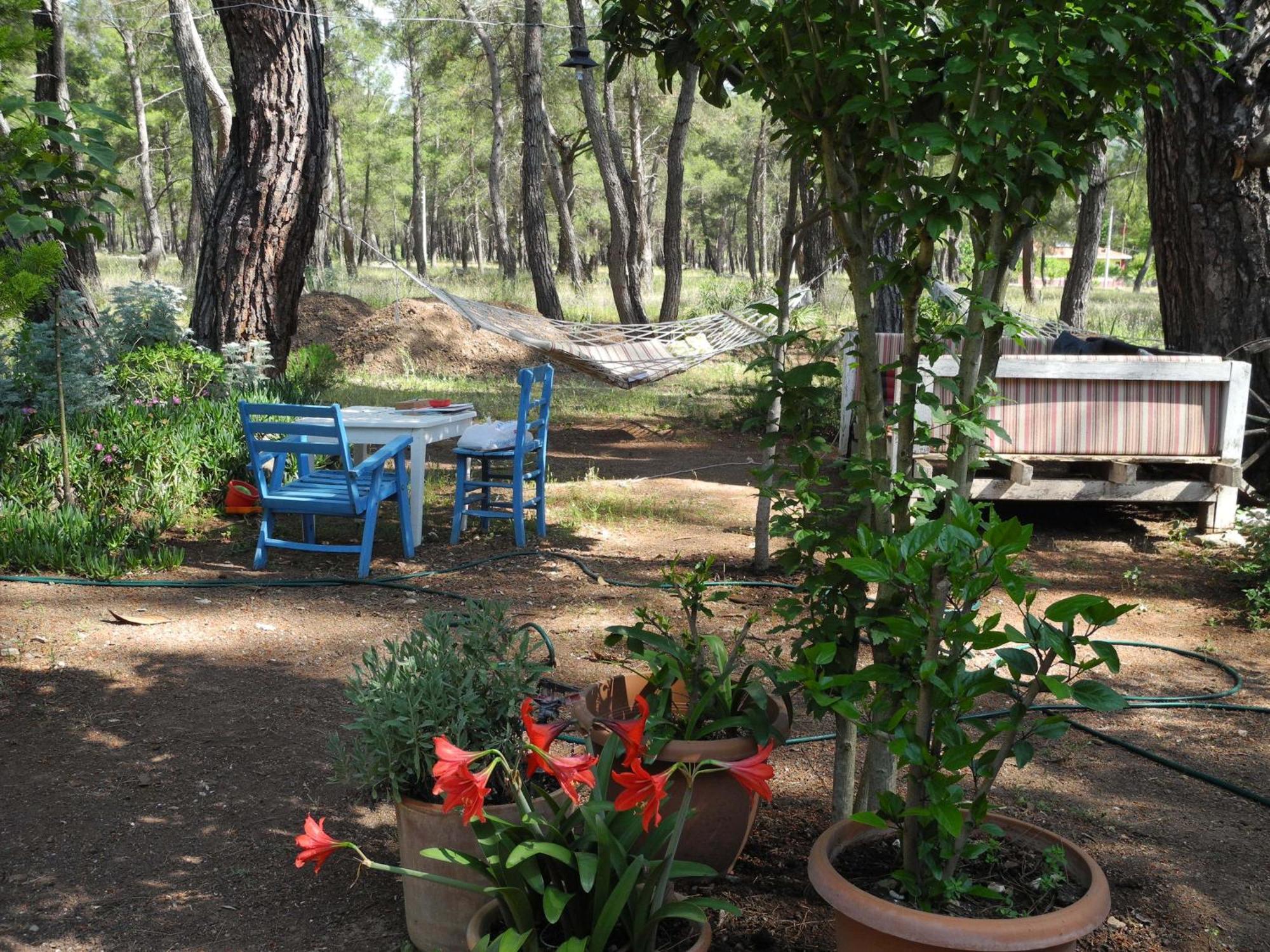 Daphne House