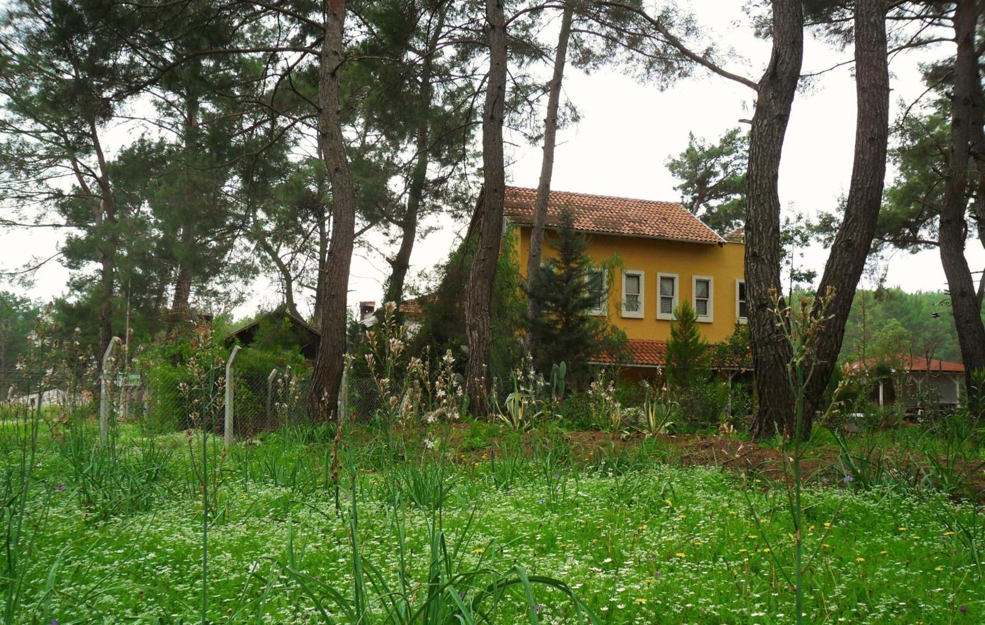 Daphne House