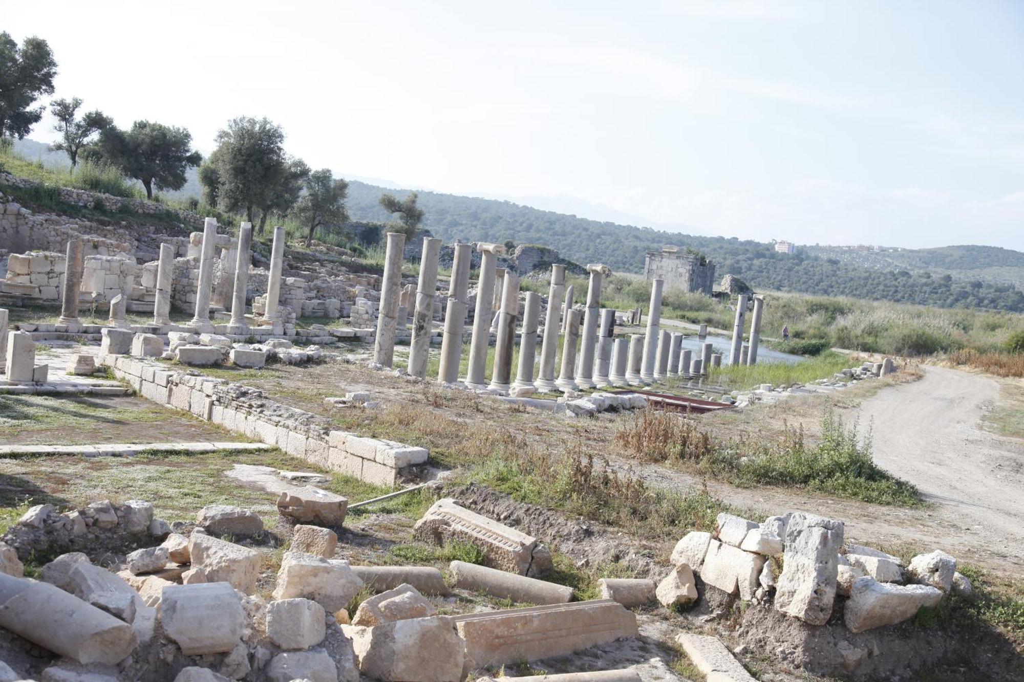 Apollon
