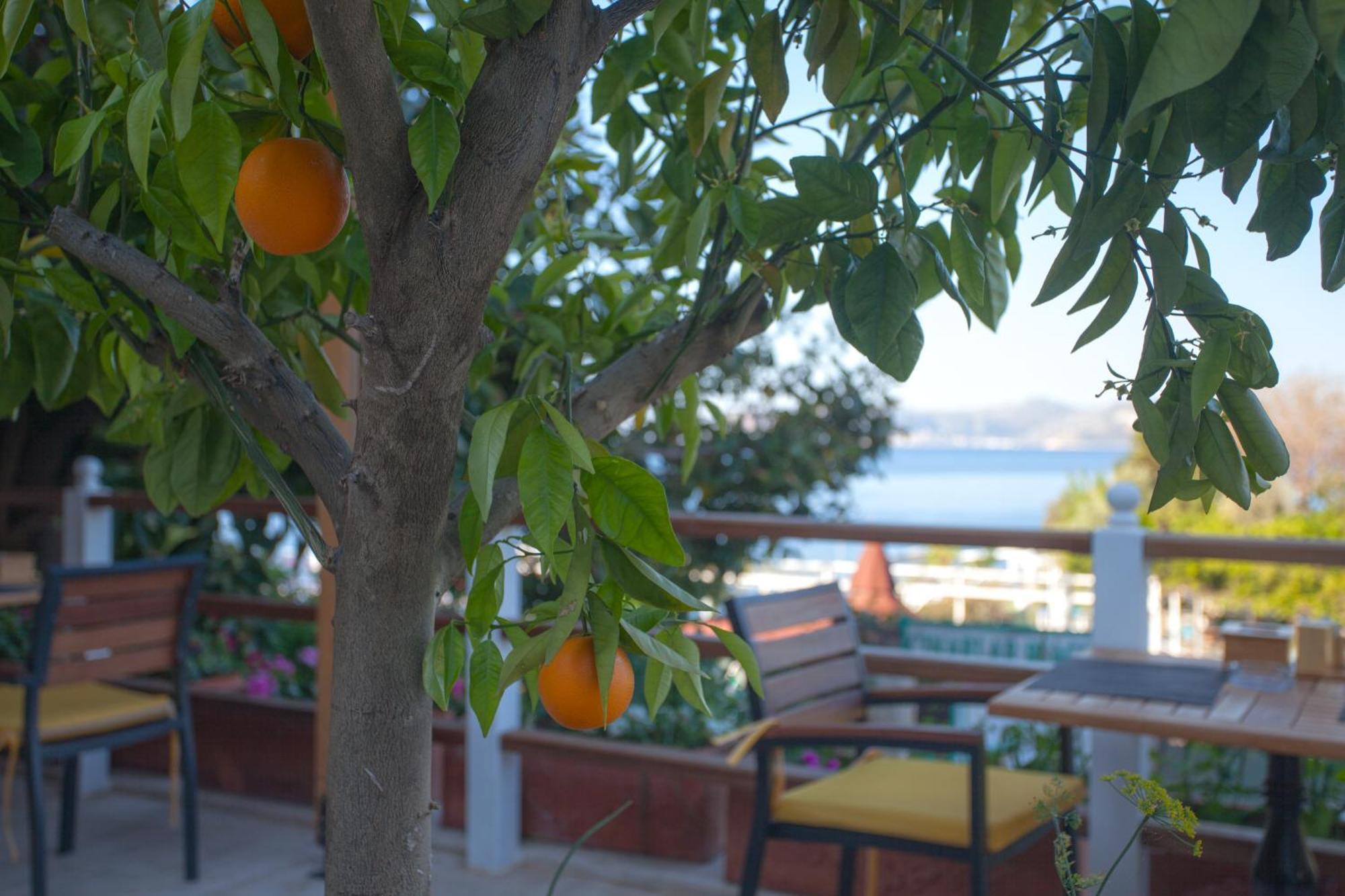 Ferah Hotel 3*