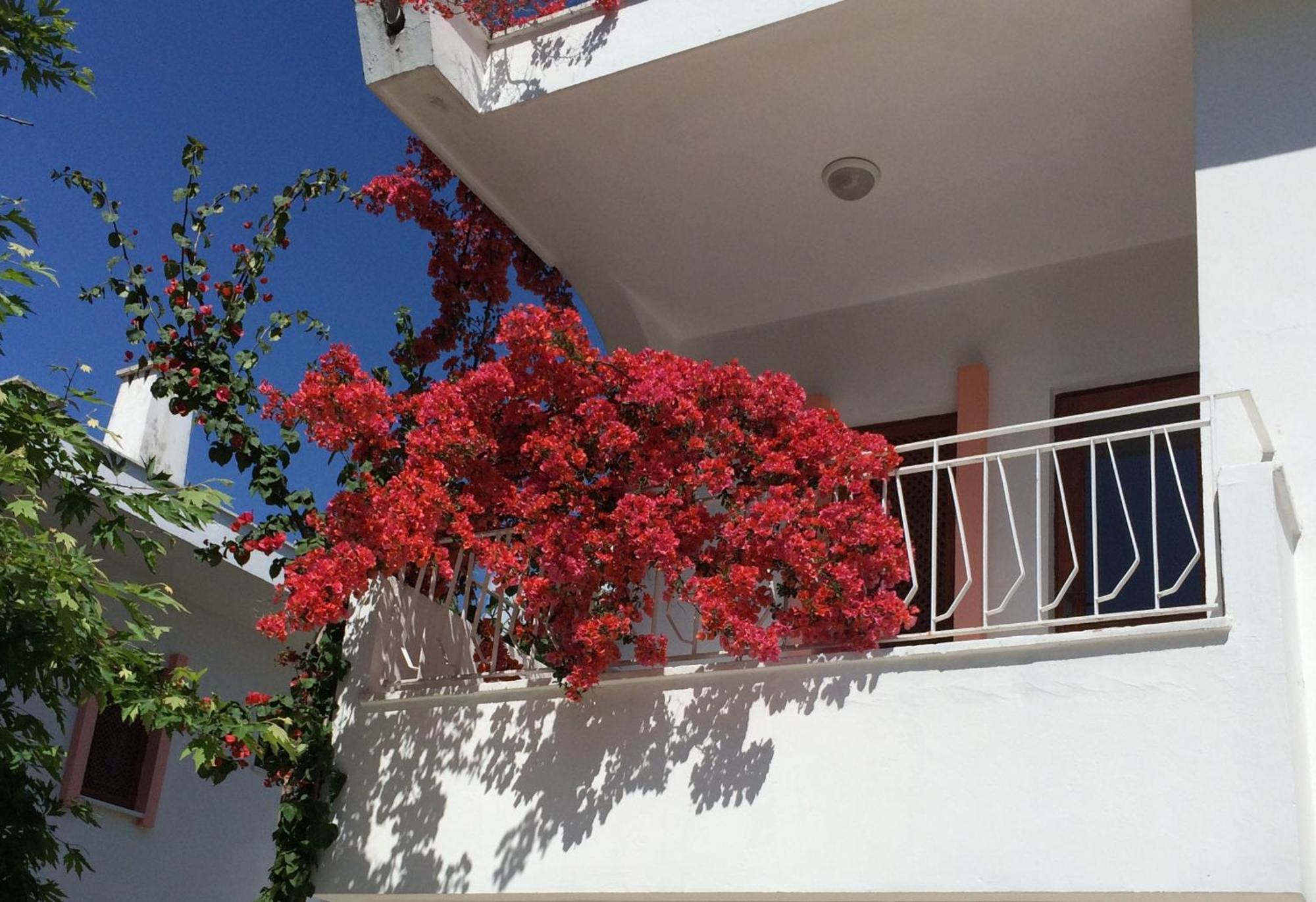 Flower Apart Resort Kemer