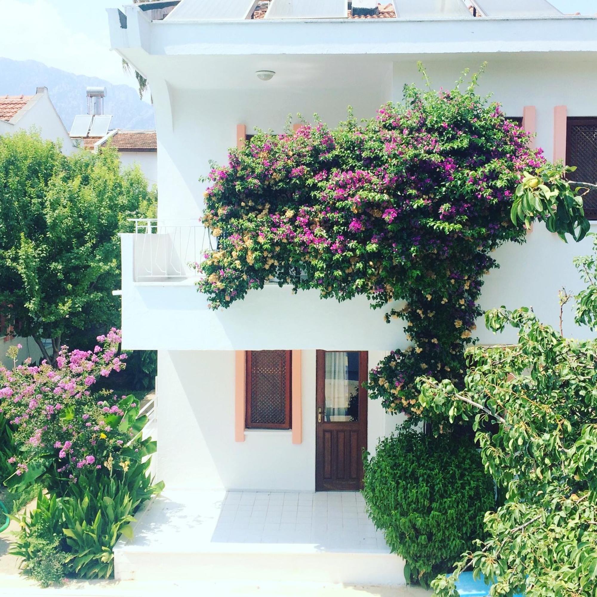 Flower Apart * Kemer