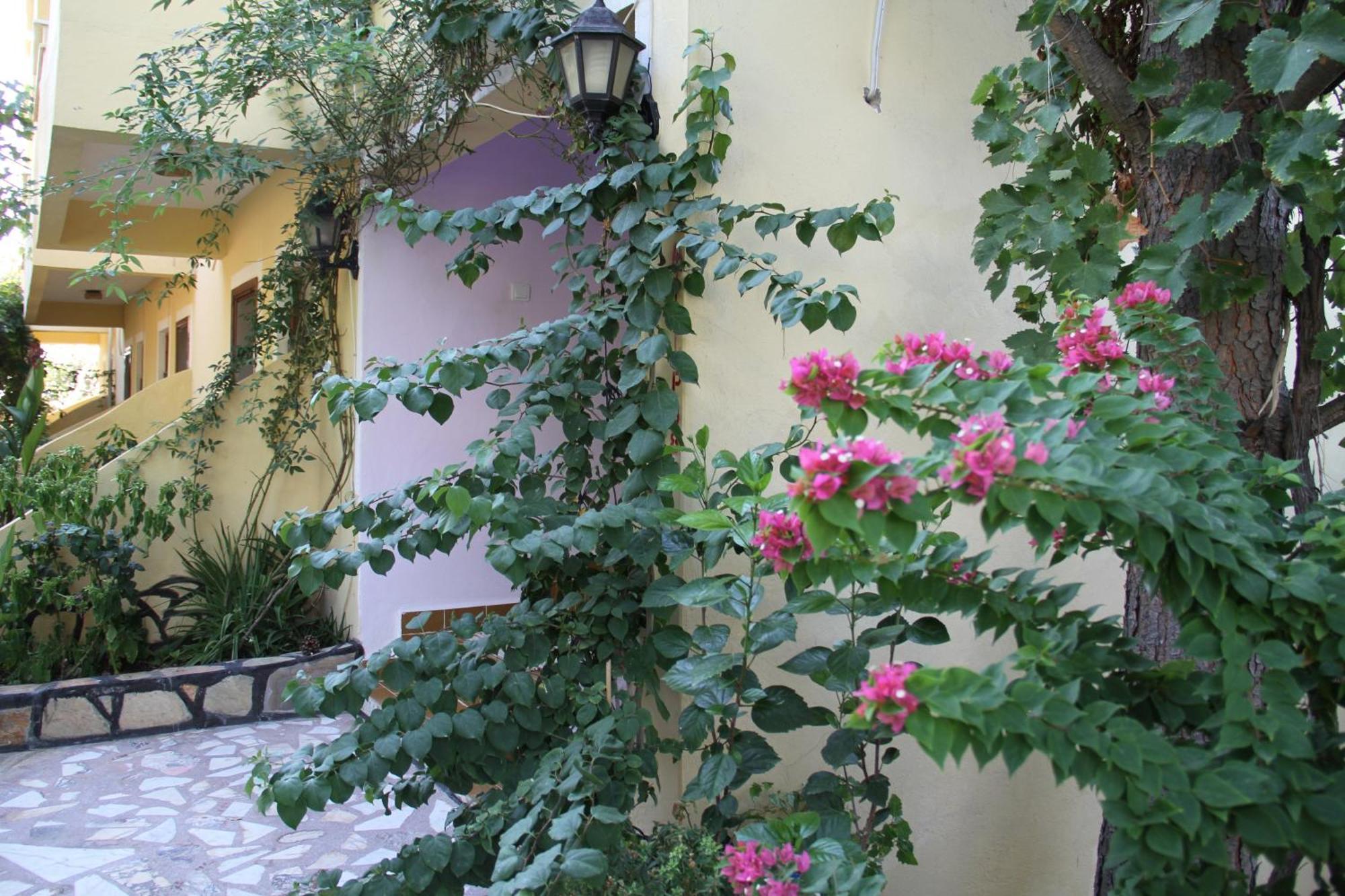 Sema 3* Patara