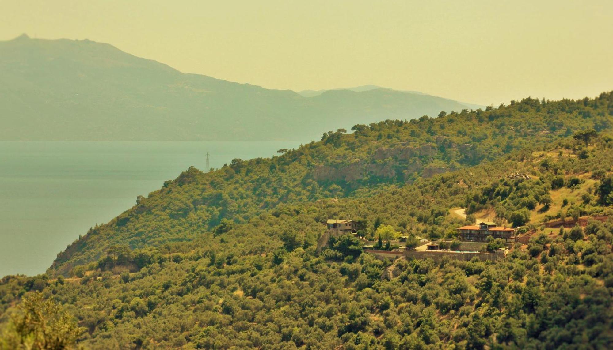 Assos Kartal Yuvasi Sazli