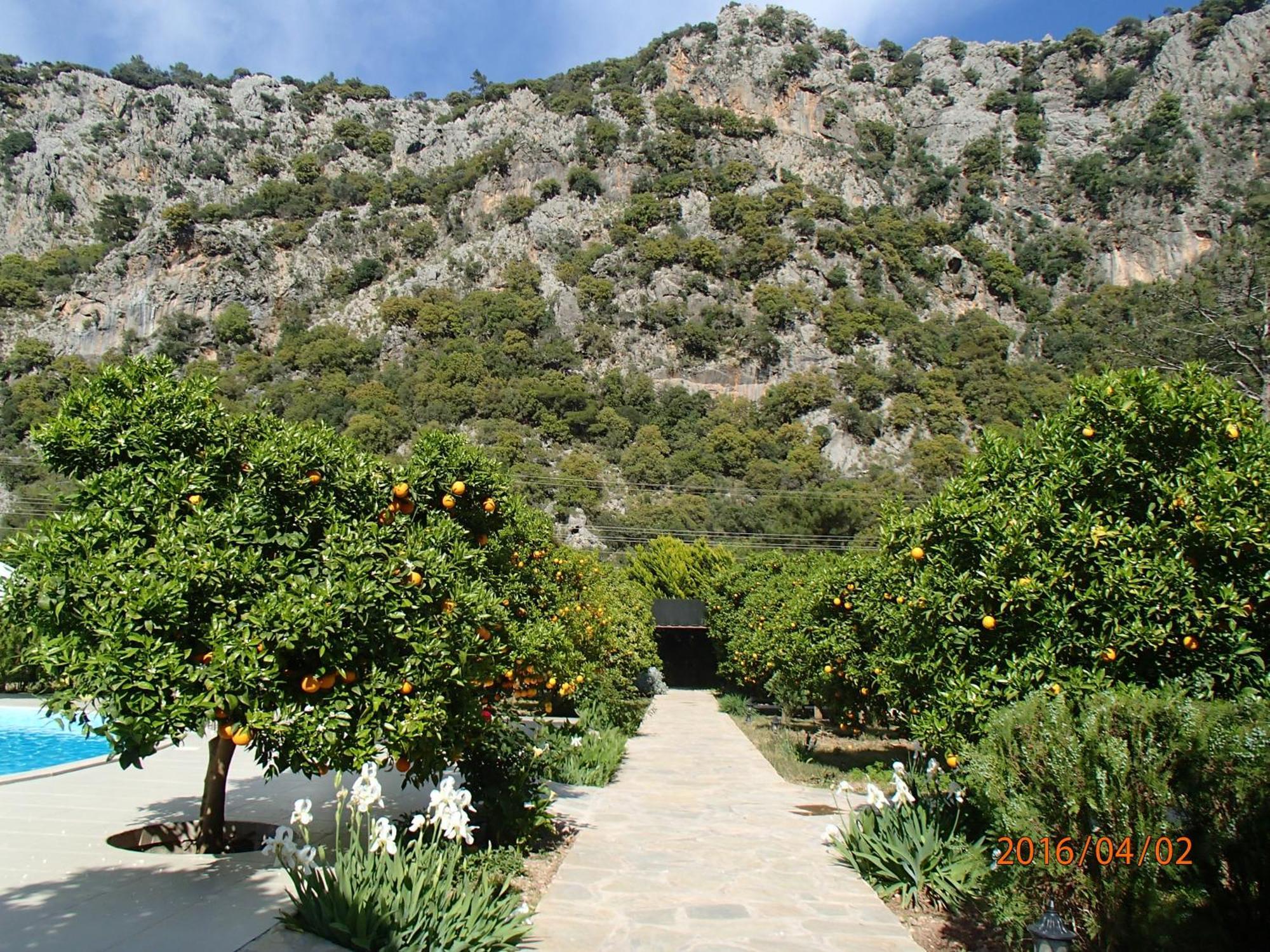 Villa Arcadia *