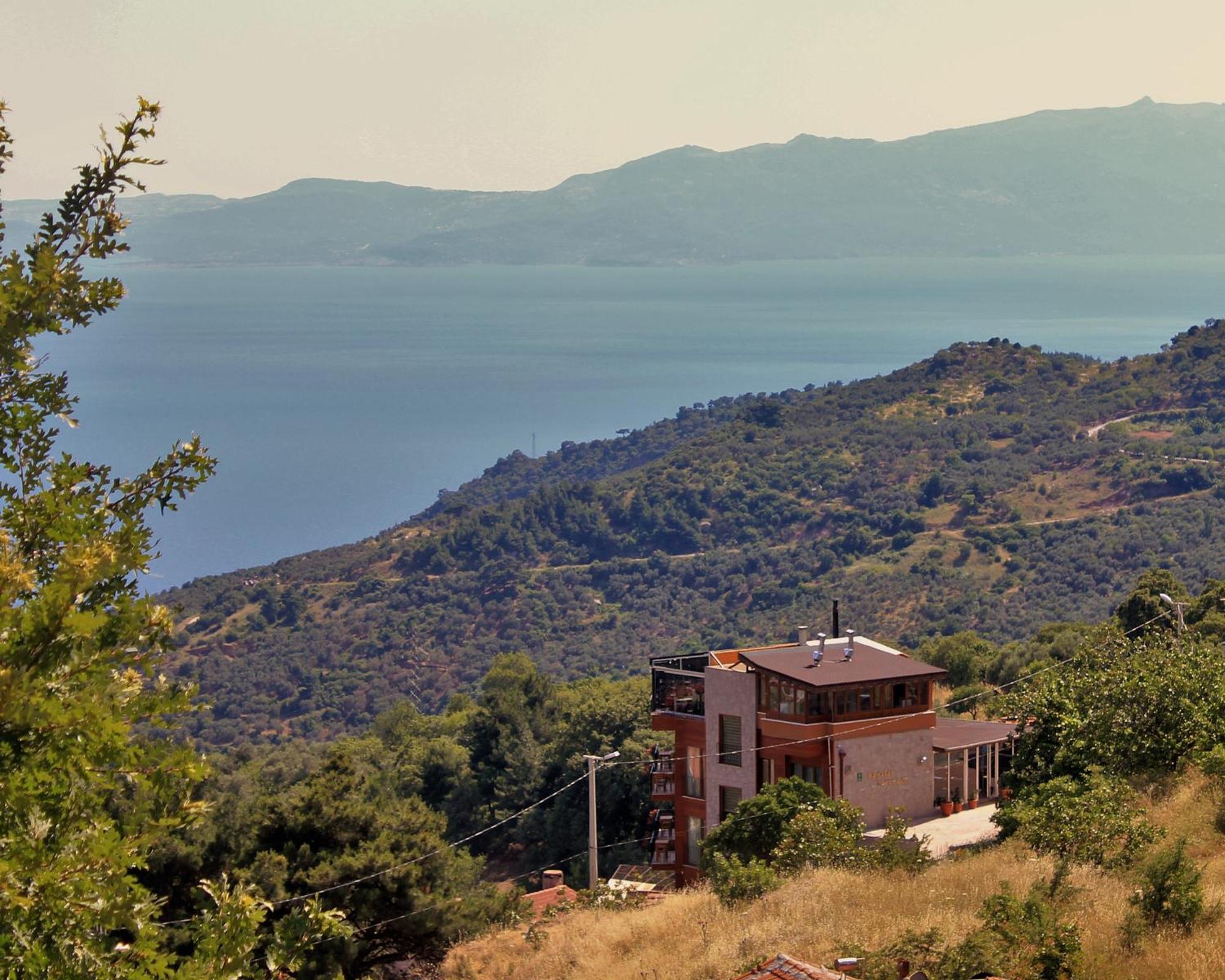 Guest house Assos Kayalar Terrace