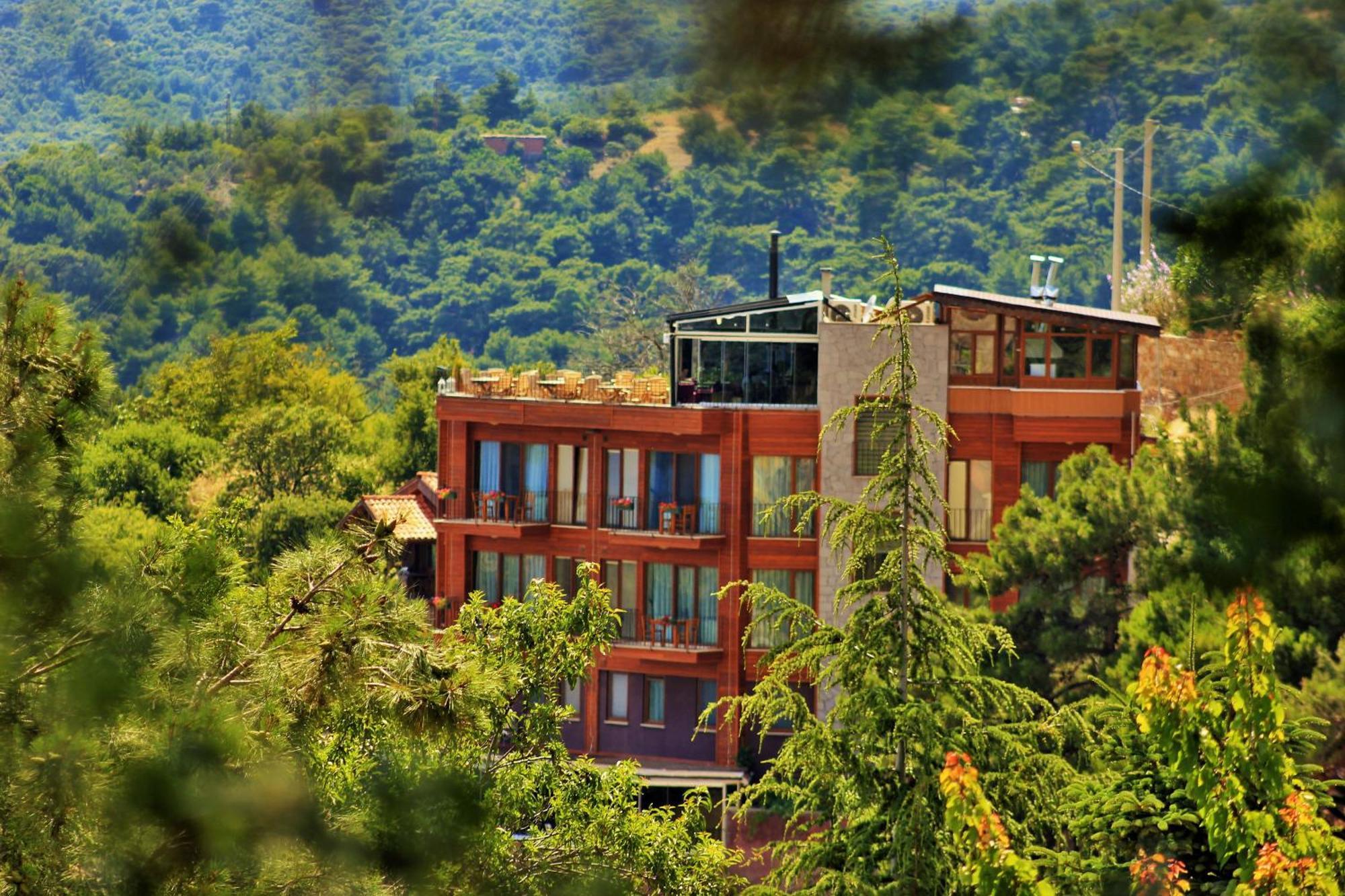 Assos Kayalar Terrace Sazli