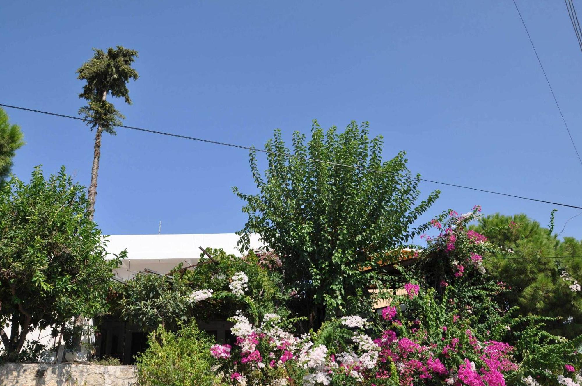 Hotel Jet Patara