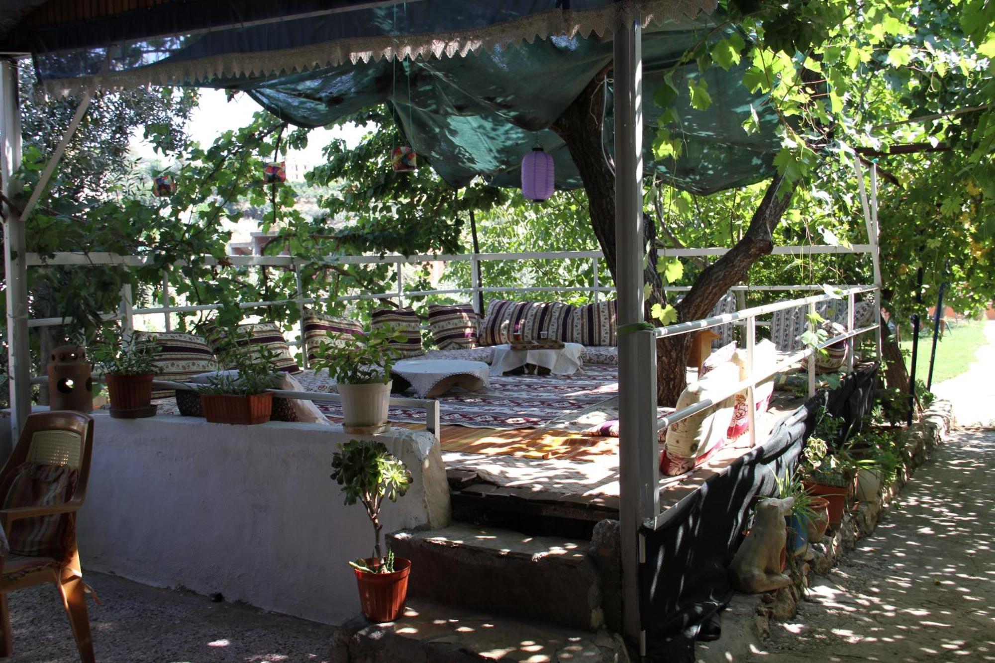 Rose Patara