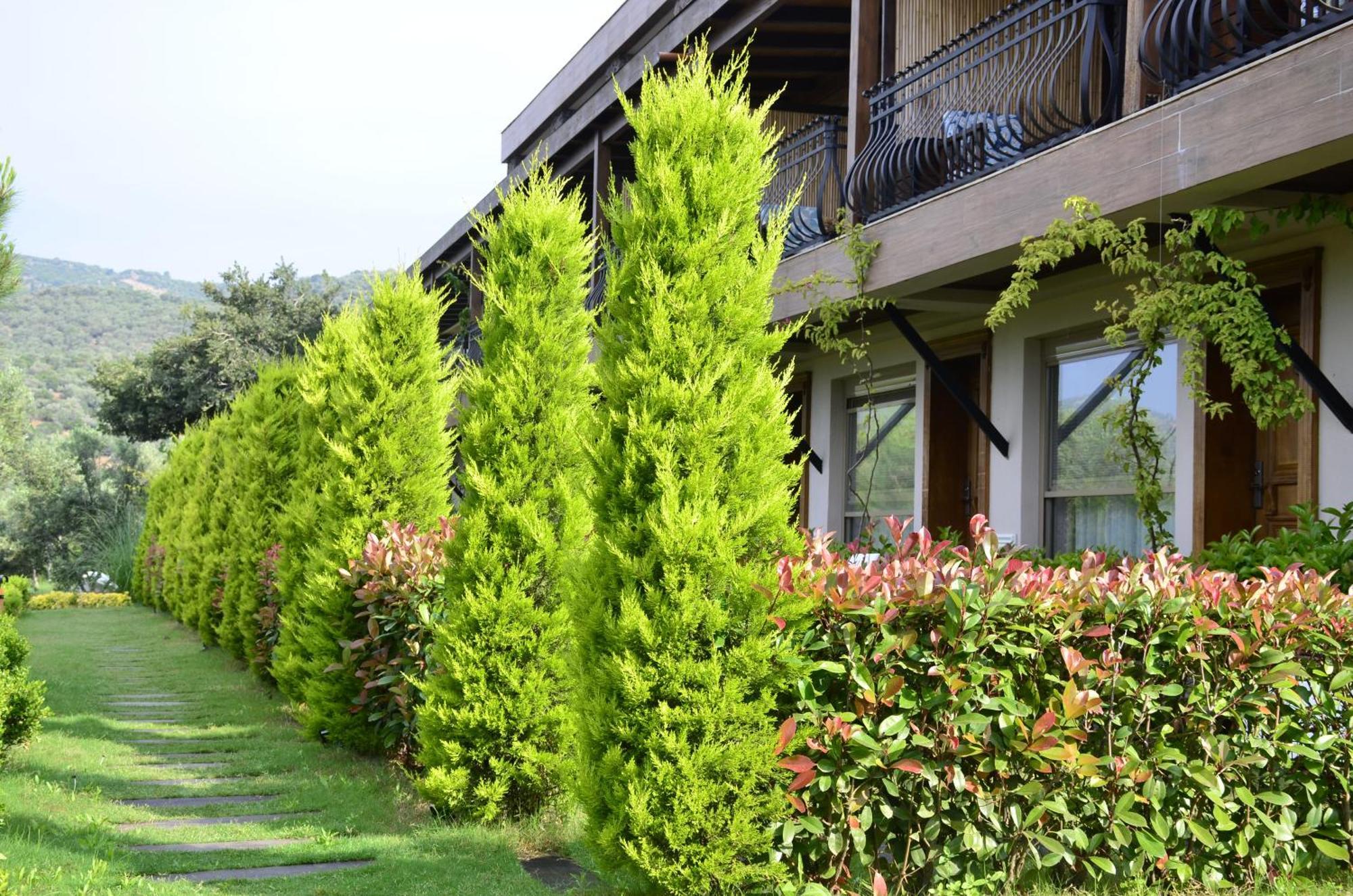 Hotel Assos Longevity