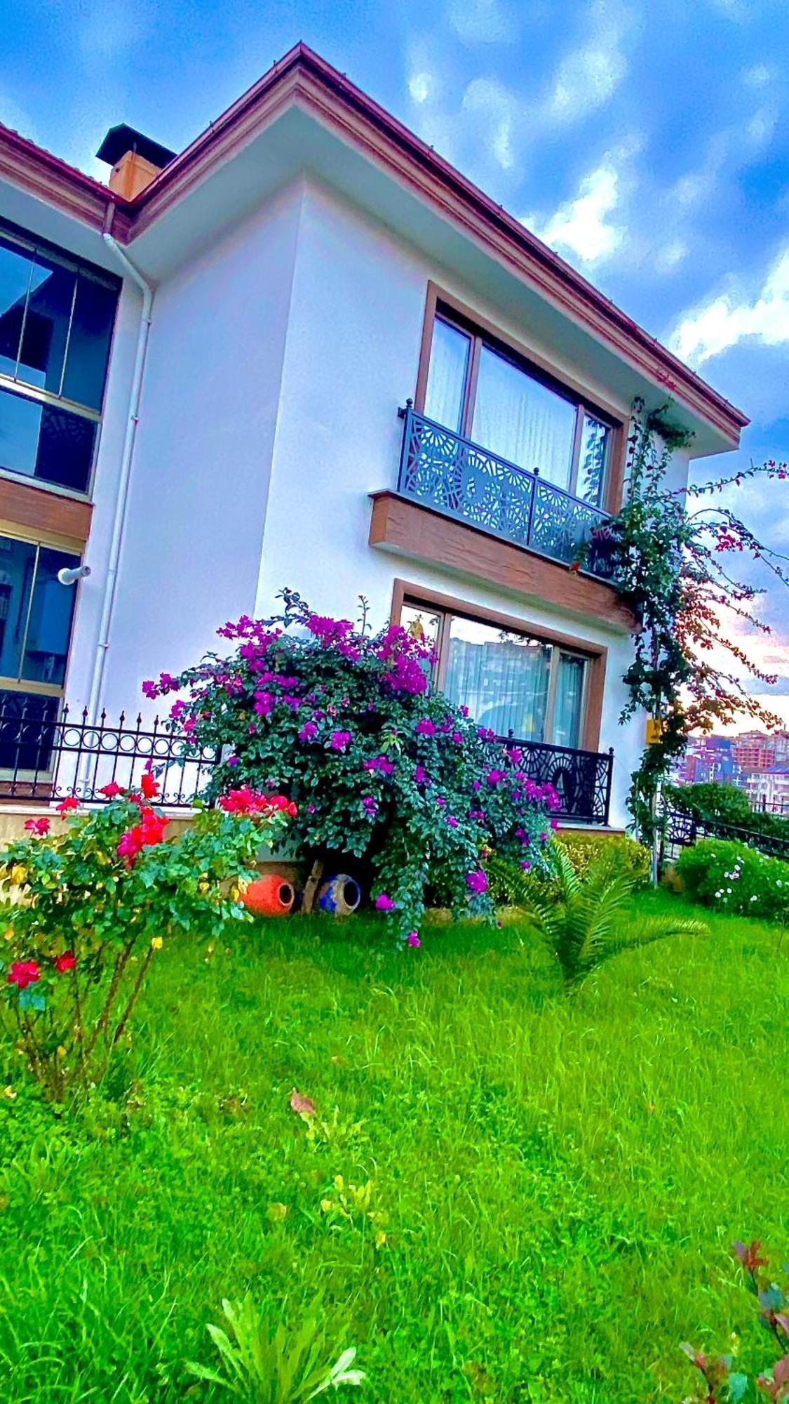 Yelken * Sinop