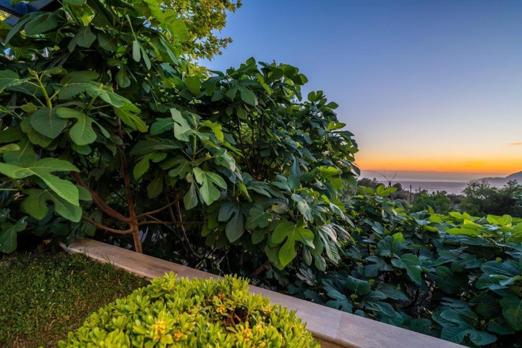 Villa Eco Stella