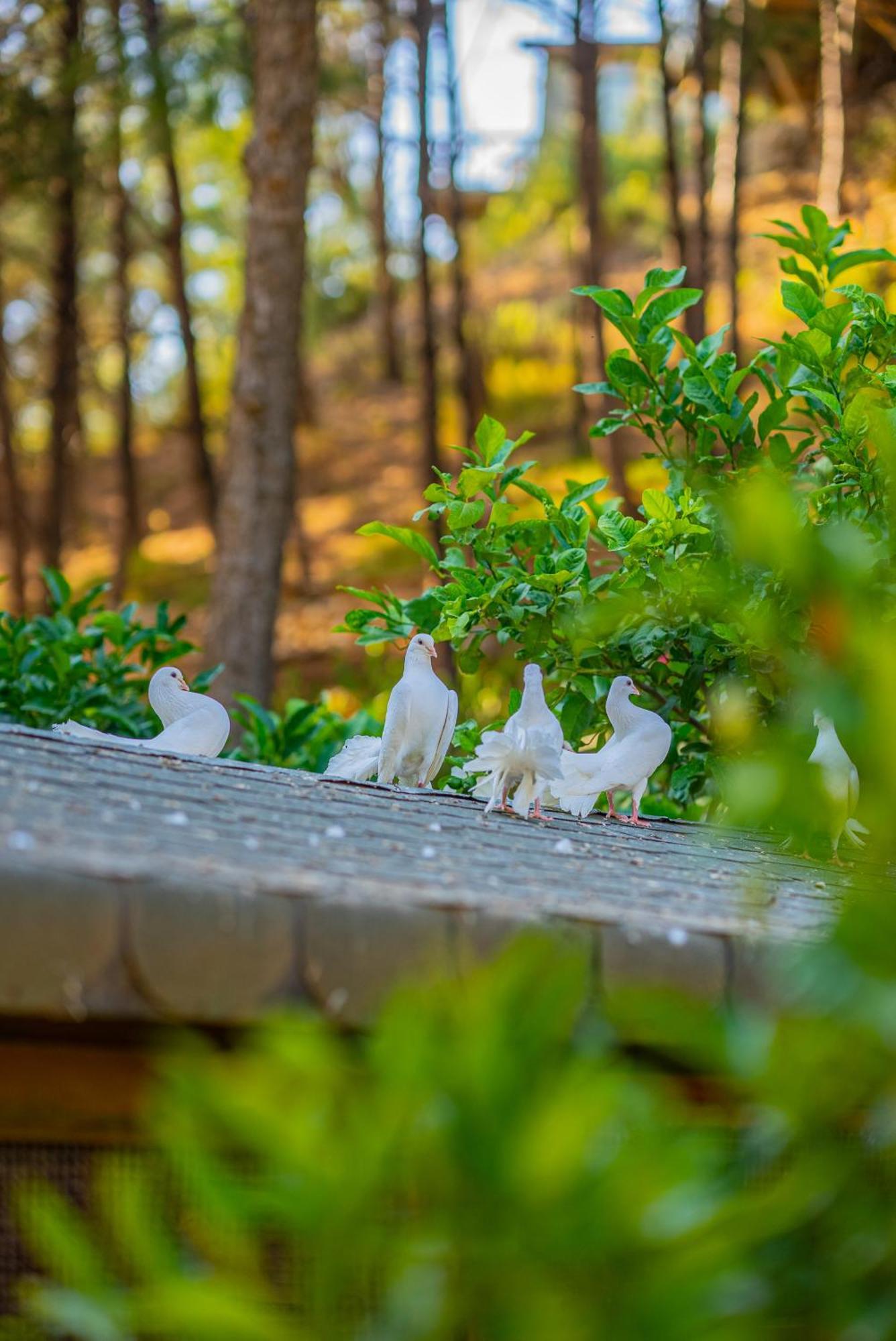 Hotel Kairos Valley Health & Nature *