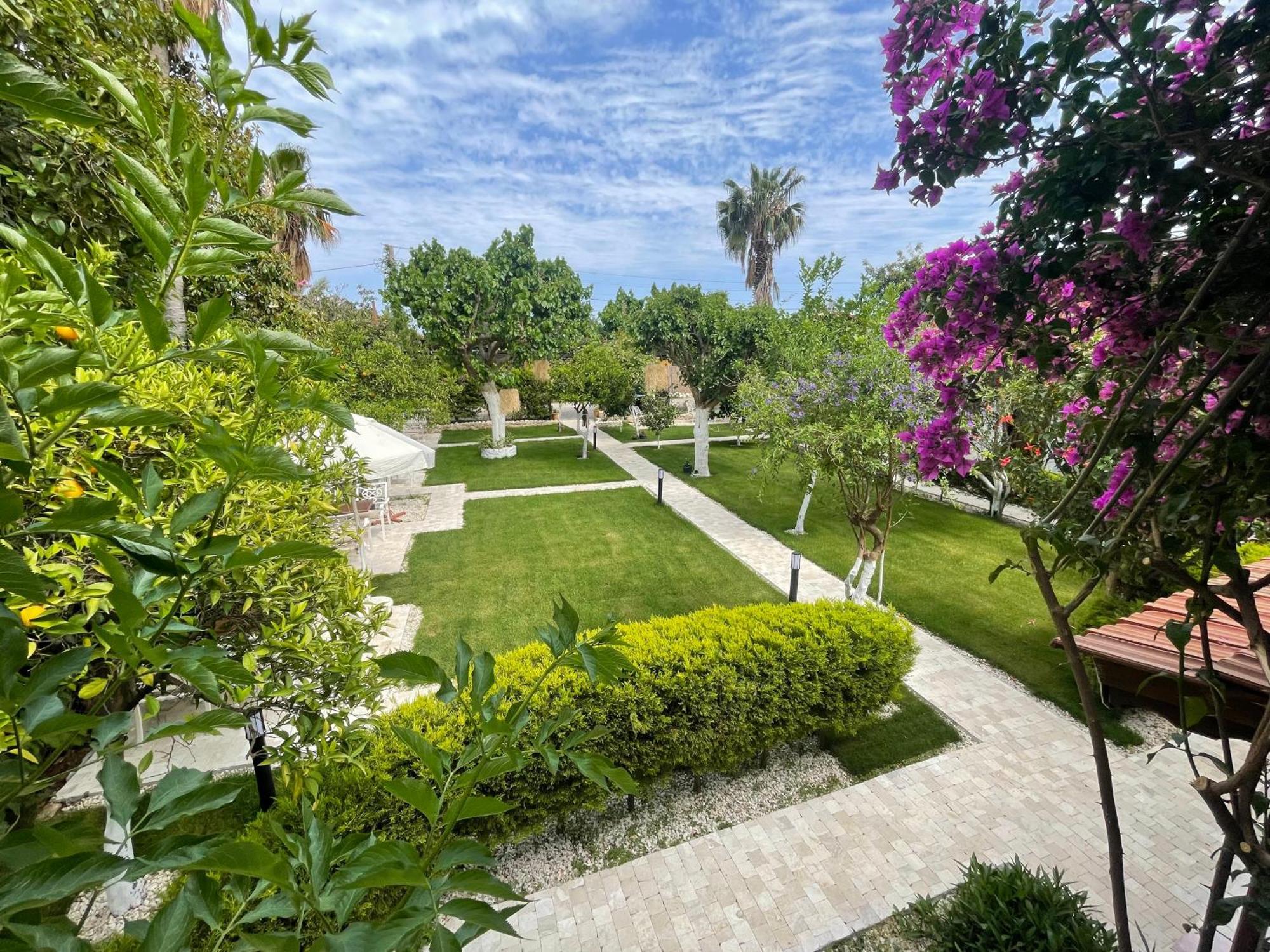 Guest house Alican 3*
