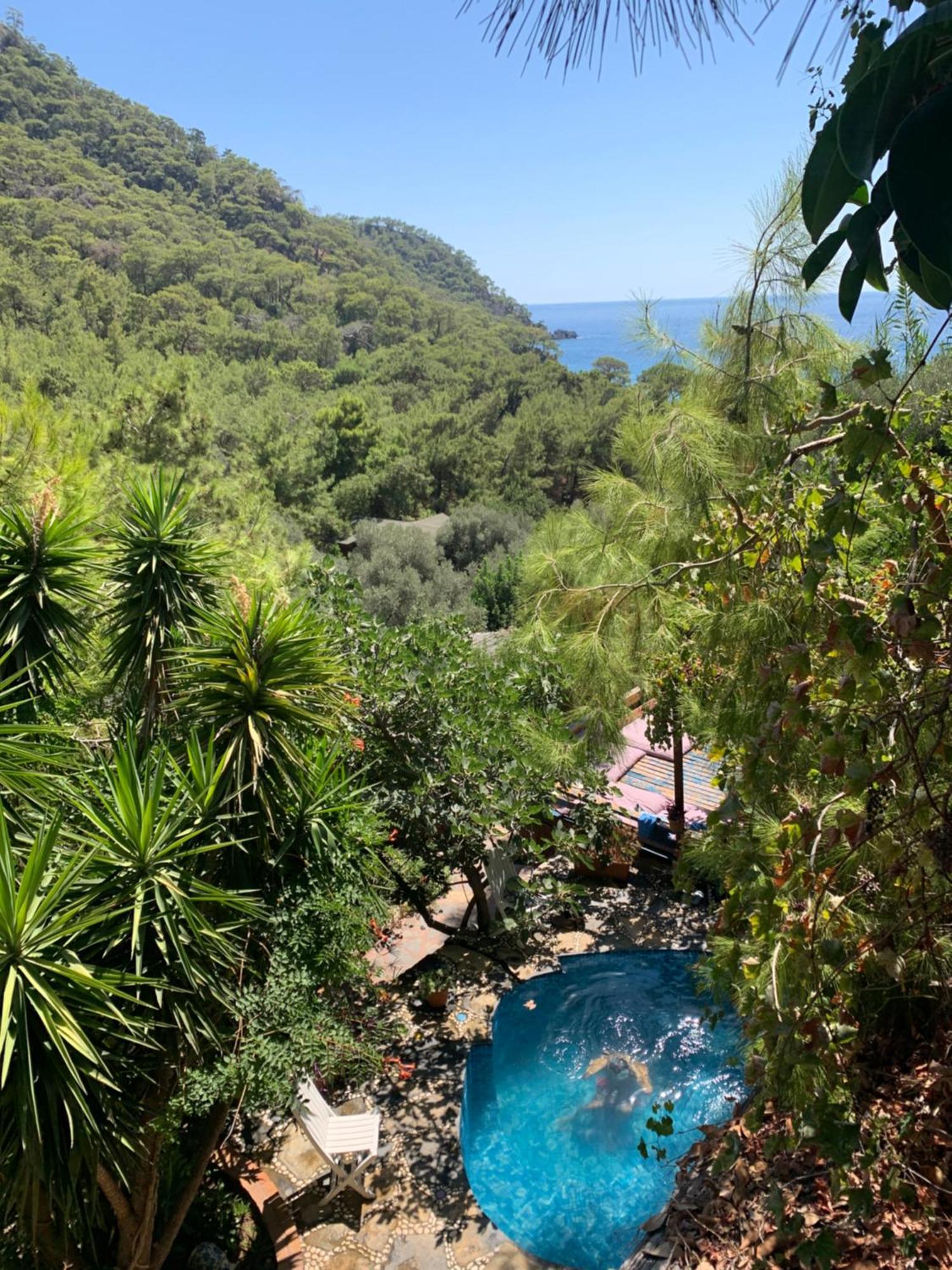 Holiday park Turan Hill Lounge Faralya