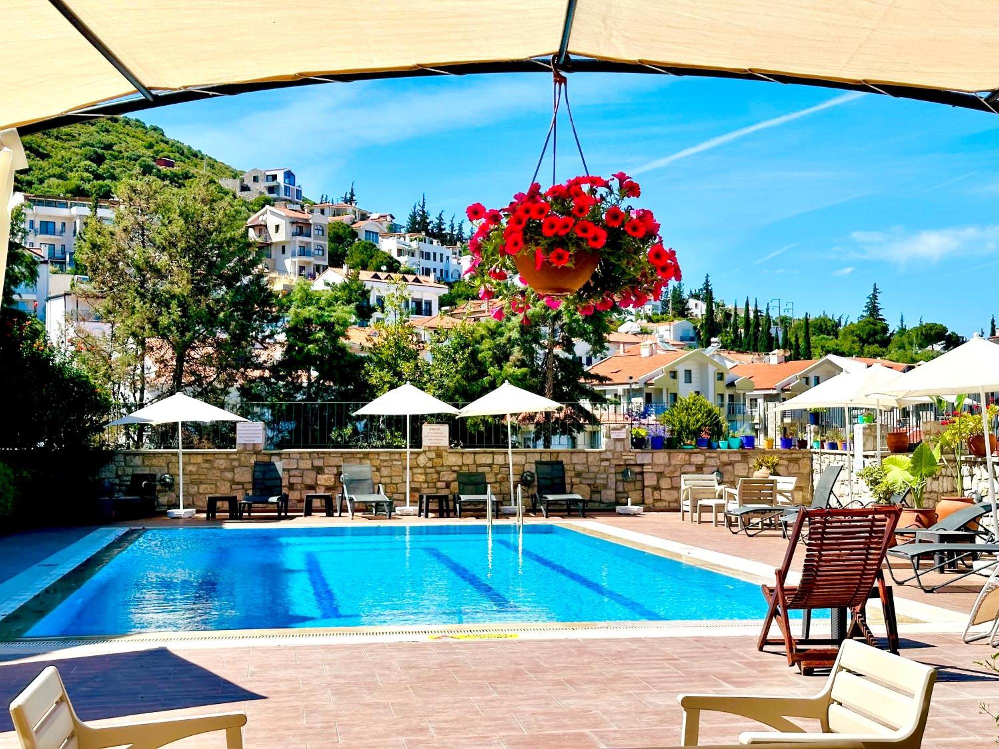 Villa Anfora 3*