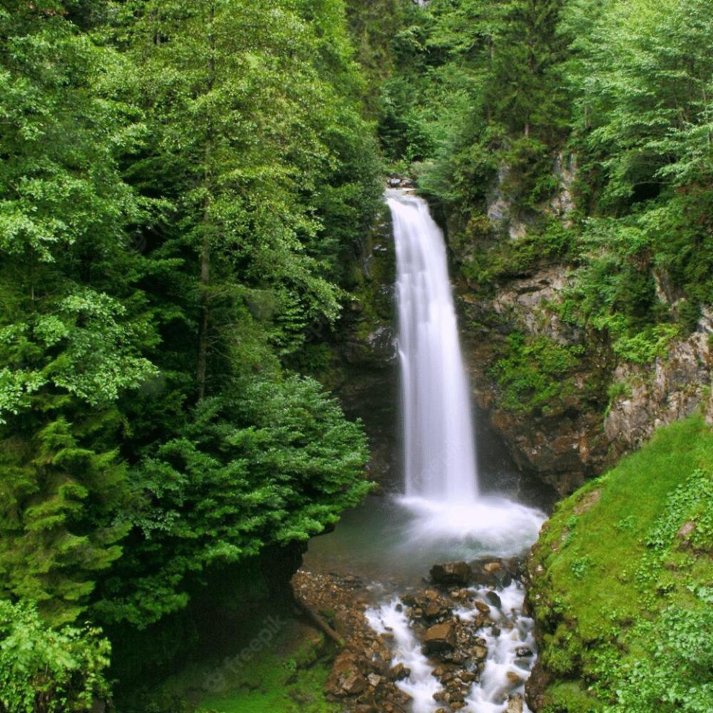 Hotel Didi Butik Rize