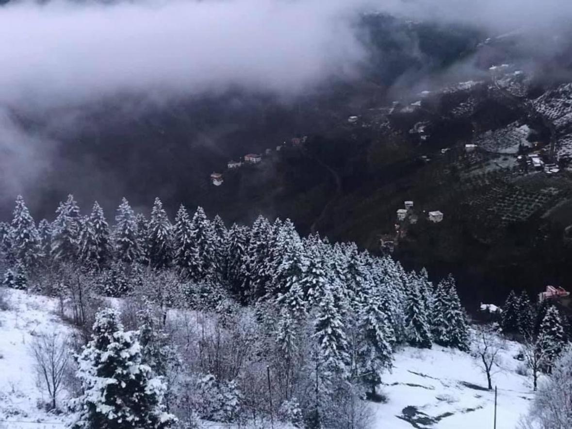 Meseici Butik *