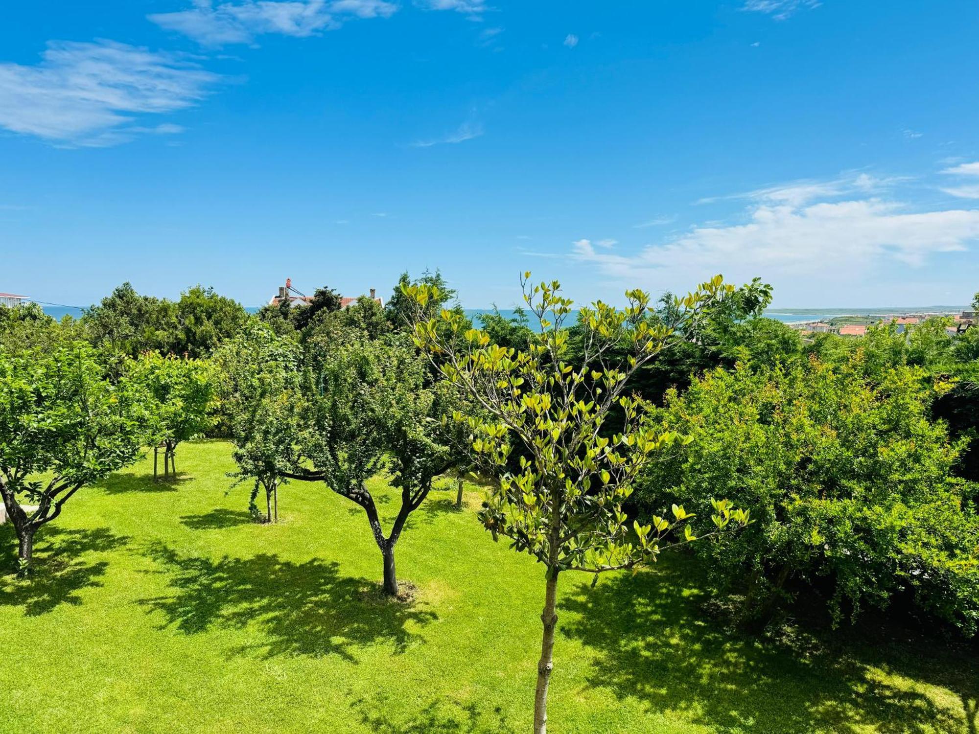 Hotel Treekos Istanbul Airport Arnavutkoy