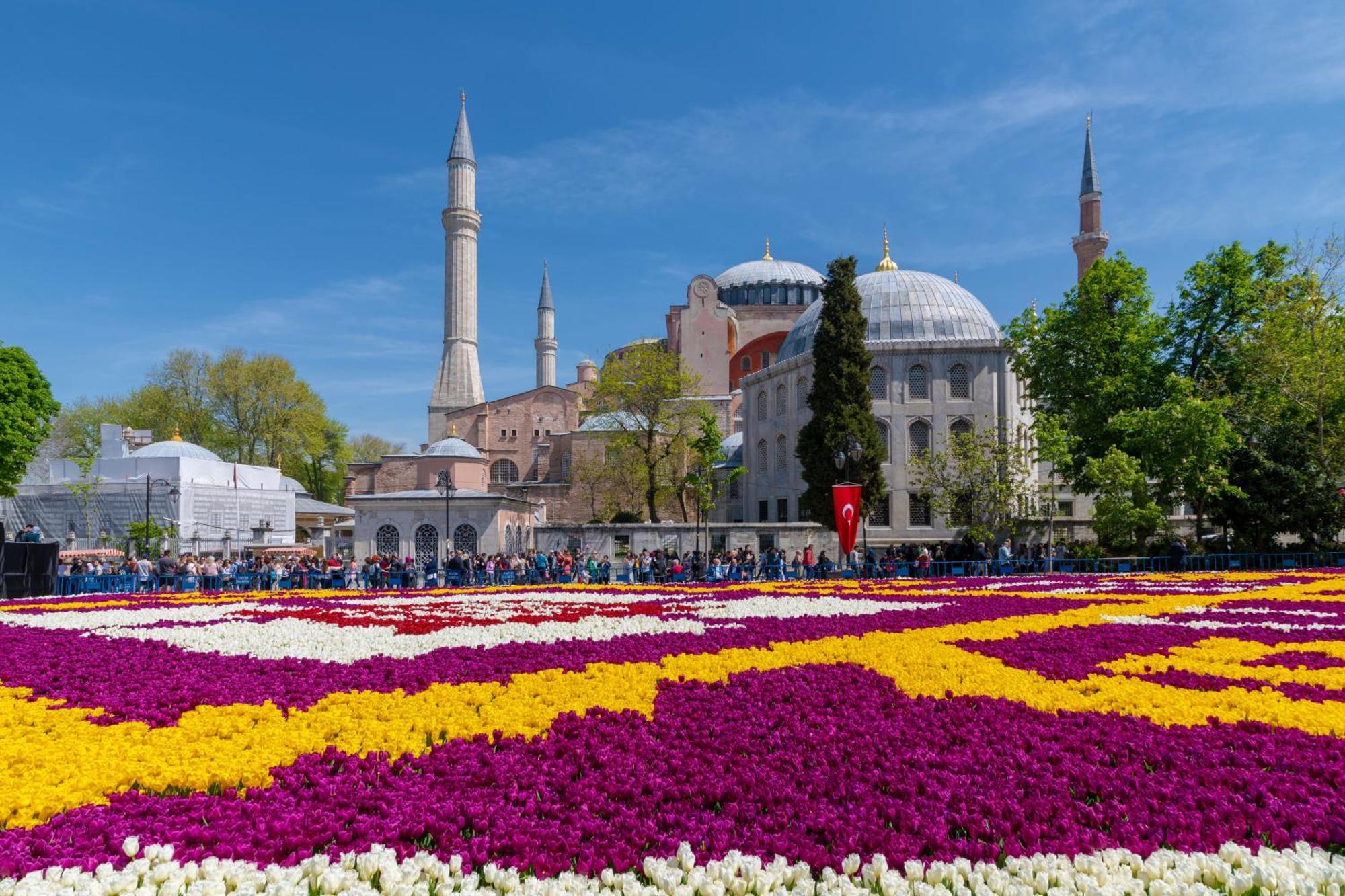 Tulip & 4* Istanbul